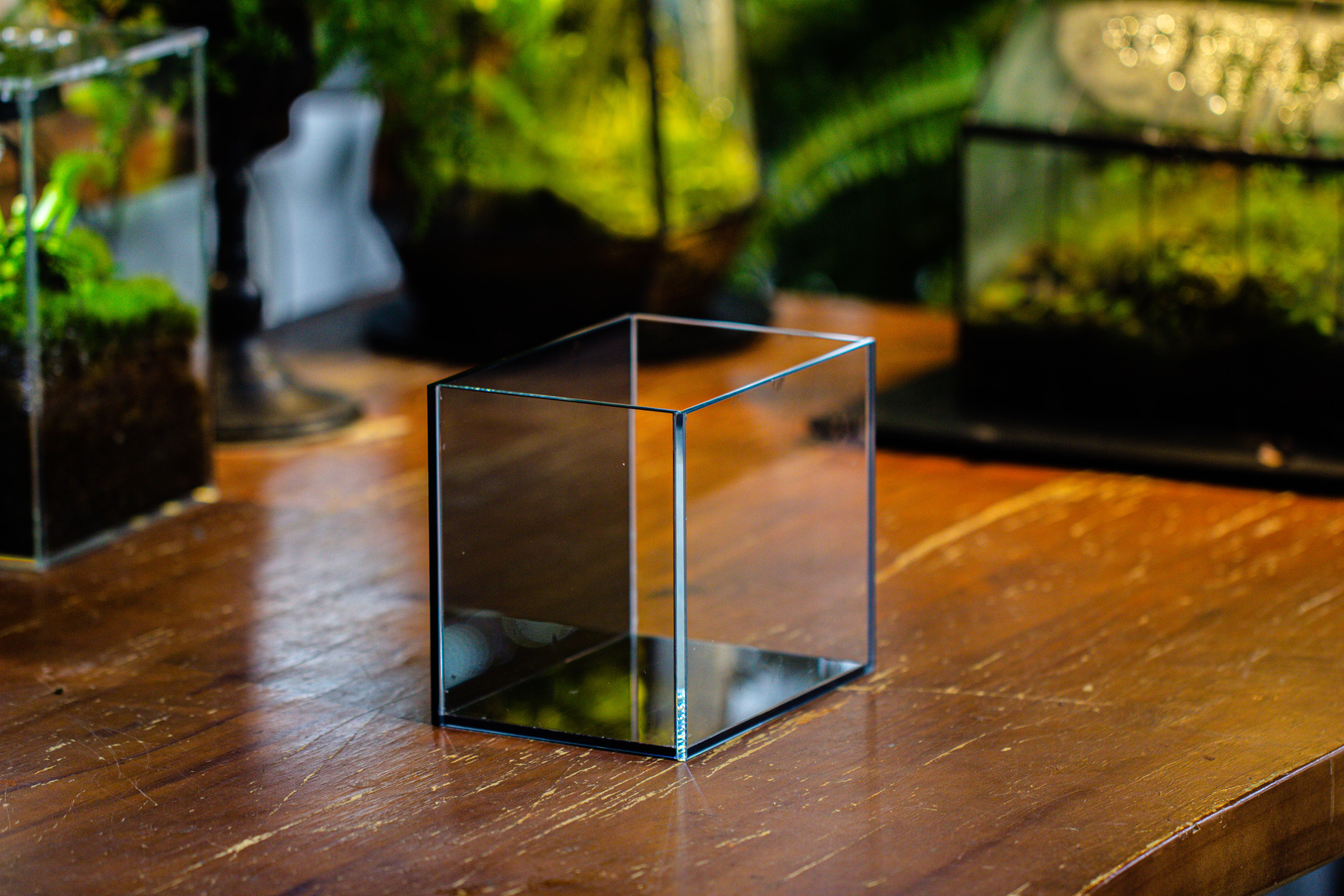 Watertight Glass Terrarium with LED Grow Light, Acrylic Lid for Moss Wall, vertical planting-15x11x13cm / 5.9x4.3x5.1'' - NCYPgarden