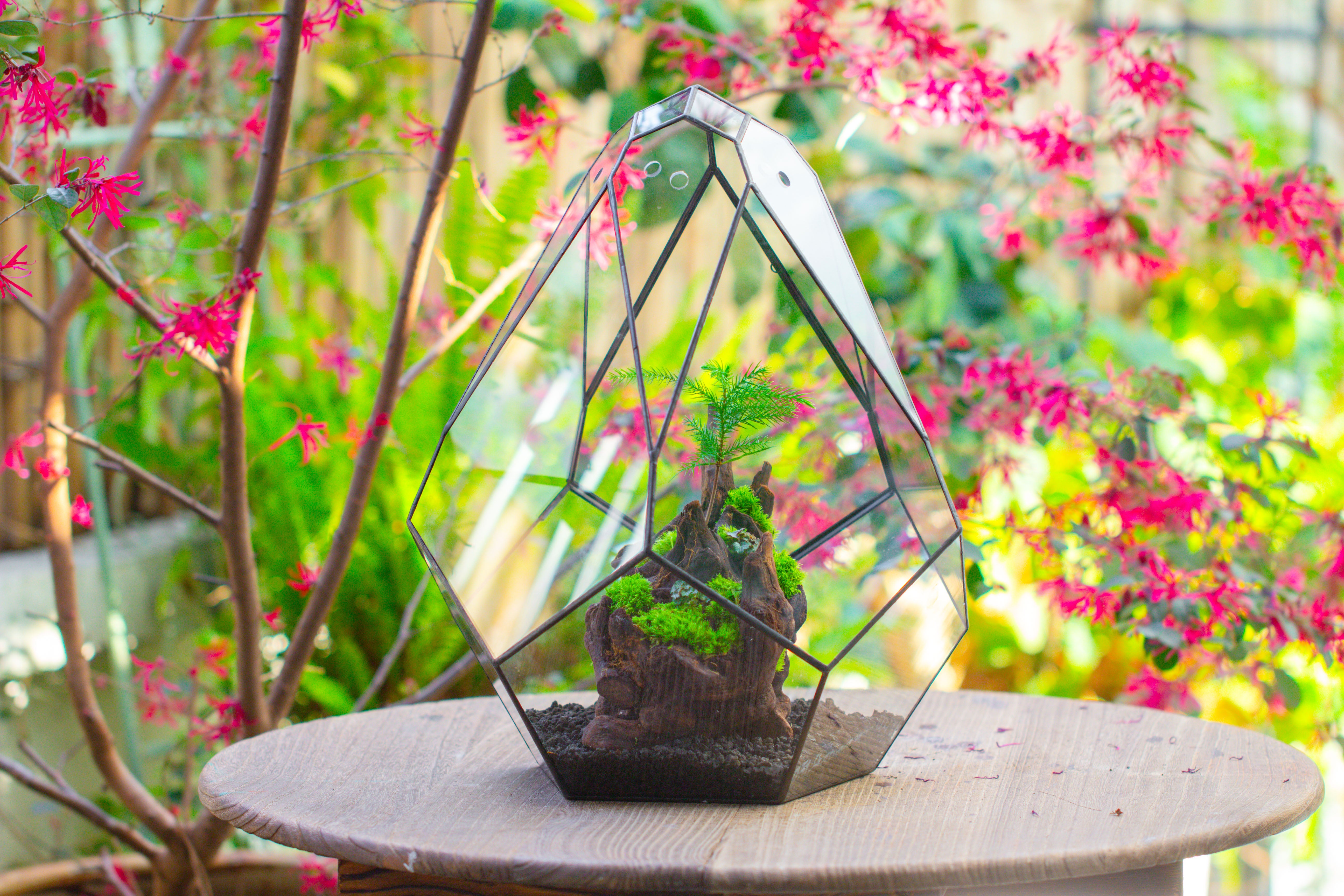 16" Large Teardrop Geometric Terrarium, close - NCYPgarden