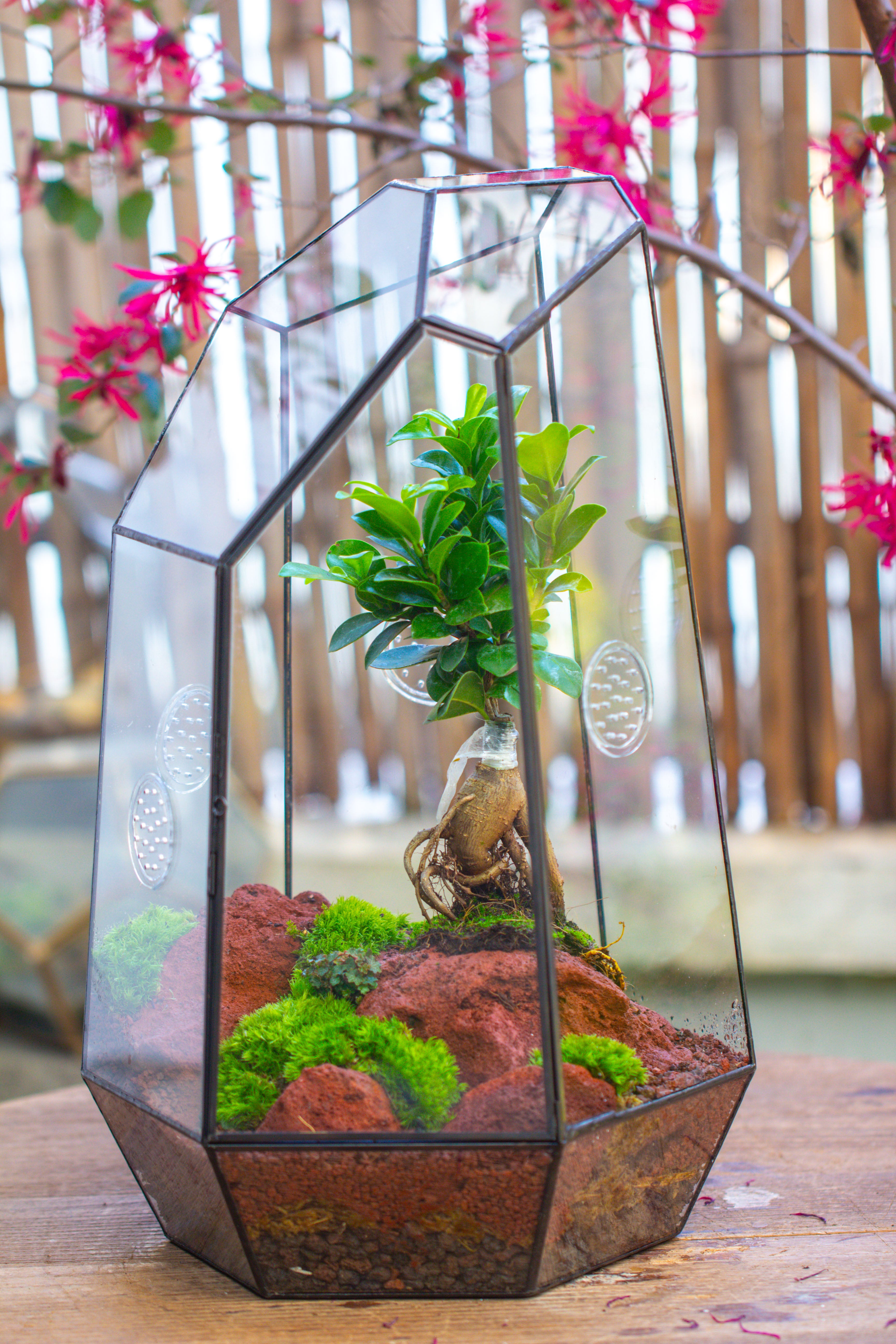 Handmade 41cm / 16" Tall IrregularGlass Geometric Terrarium Box with Vent - NCYPgarden