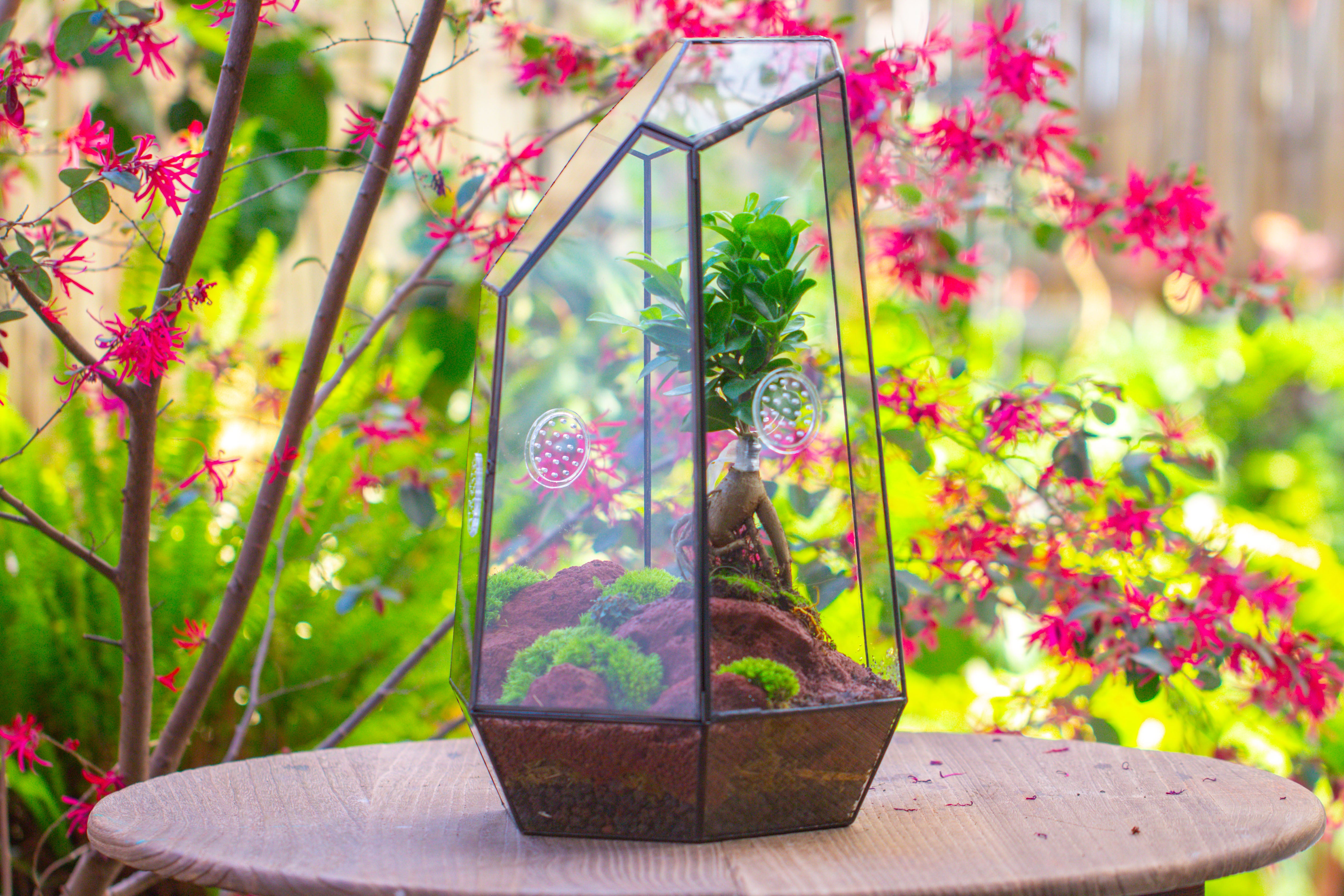 Handmade 41cm / 16" Tall IrregularGlass Geometric Terrarium Box with Vent - NCYPgarden