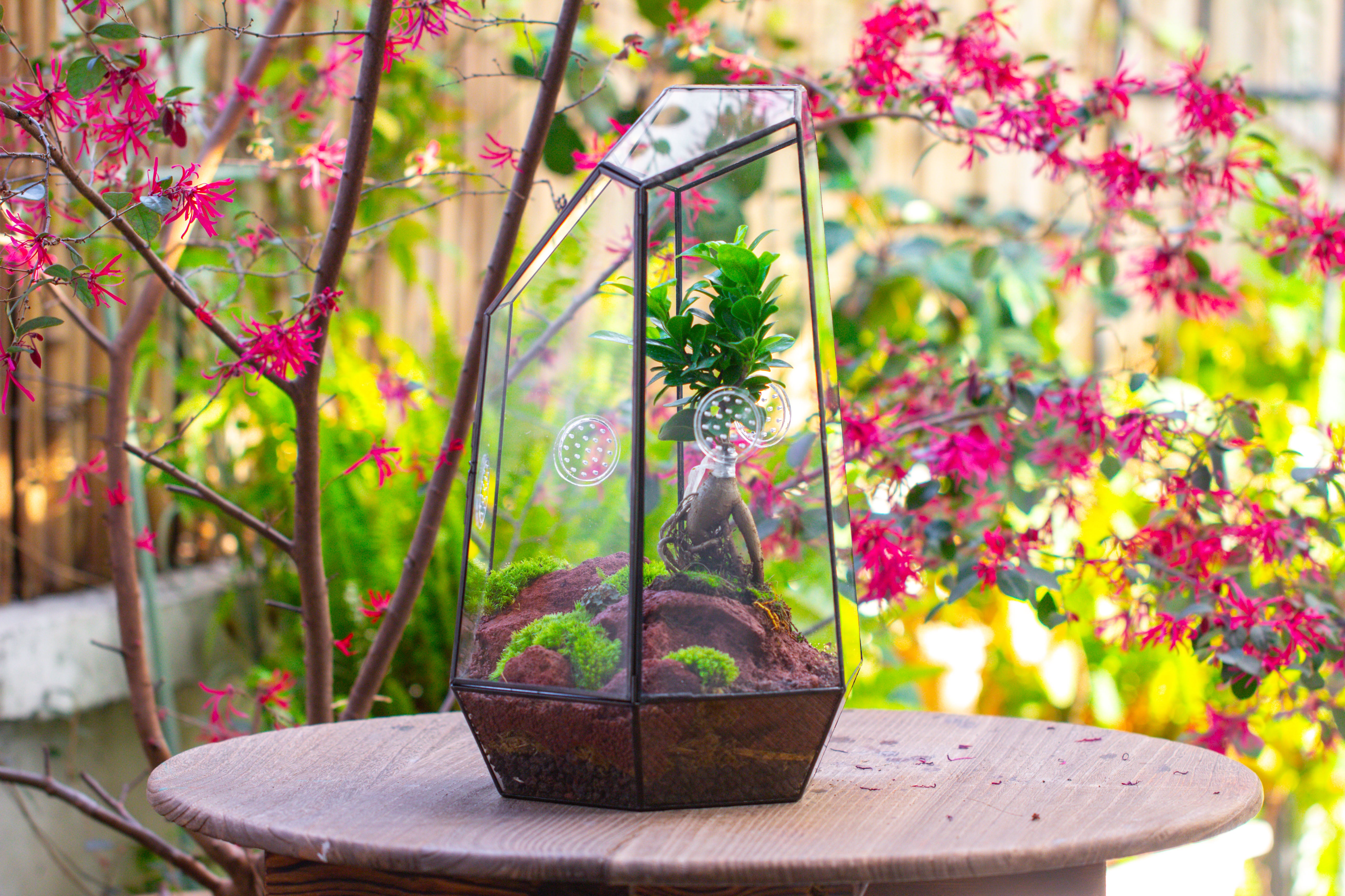 Handmade 41cm / 16" Tall IrregularGlass Geometric Terrarium Box with Vent - NCYPgarden