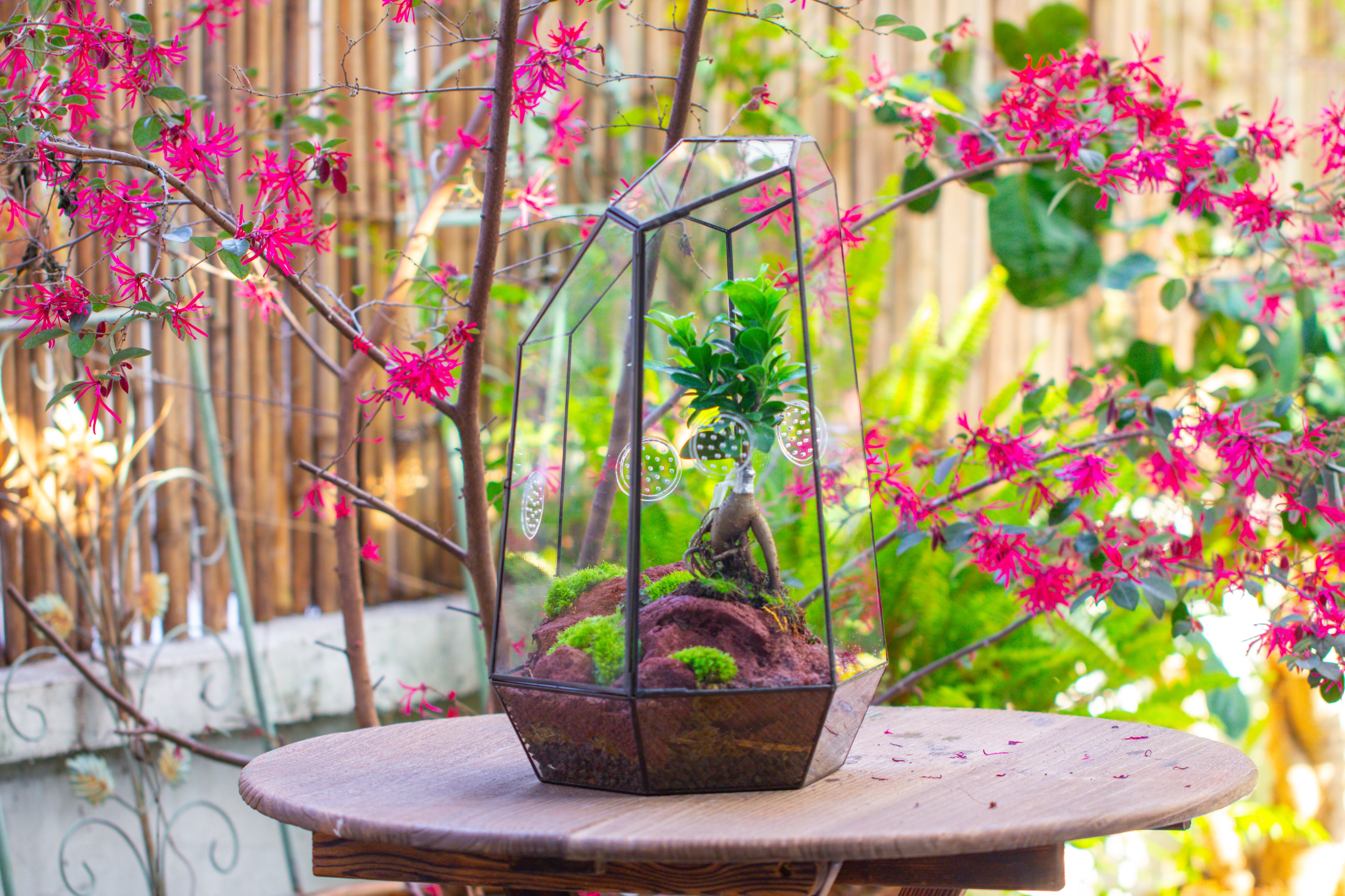 Handmade 41cm / 16" Tall IrregularGlass Geometric Terrarium Box with Vent - NCYPgarden