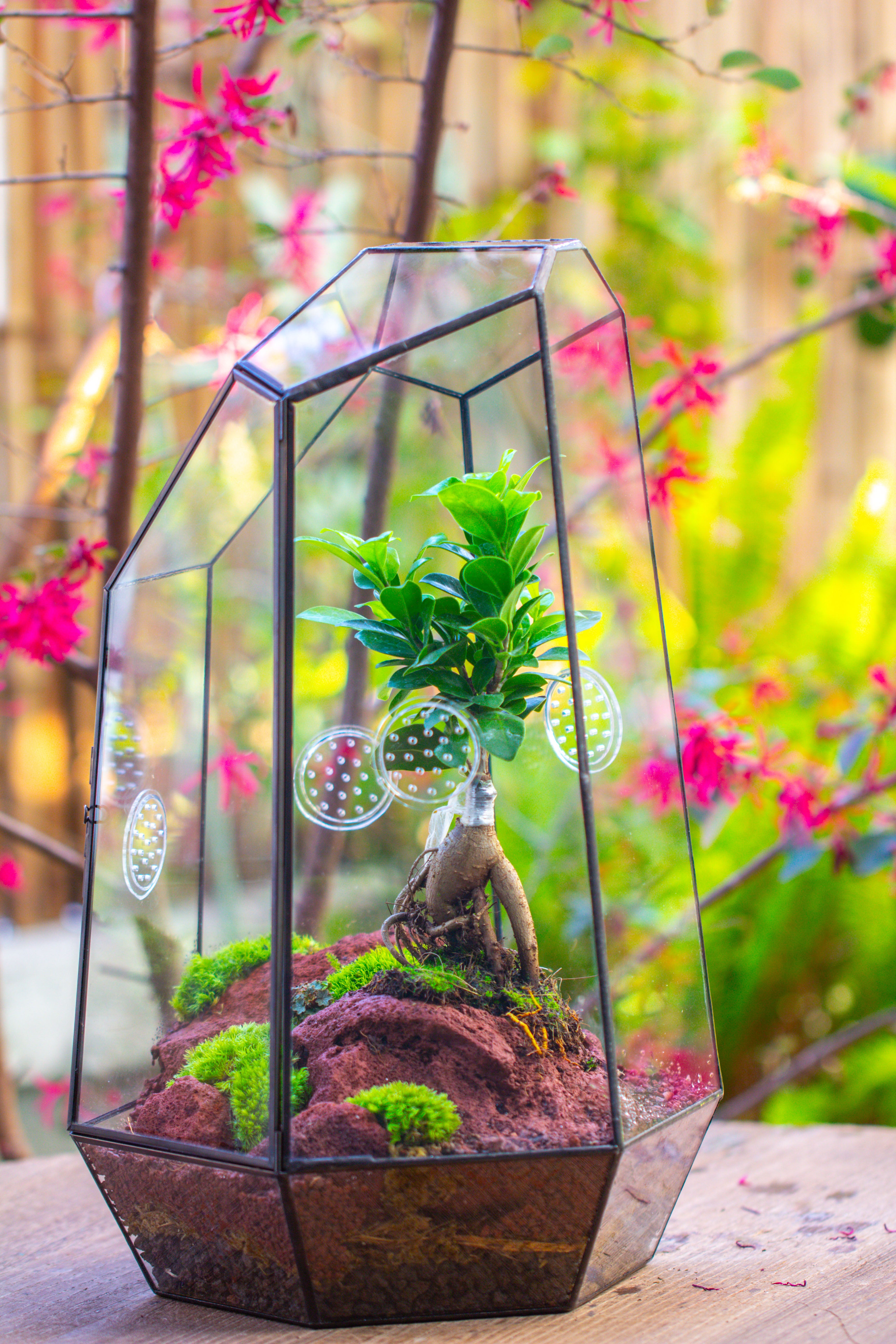 Handmade 41cm / 16" Tall IrregularGlass Geometric Terrarium Box with Vent - NCYPgarden