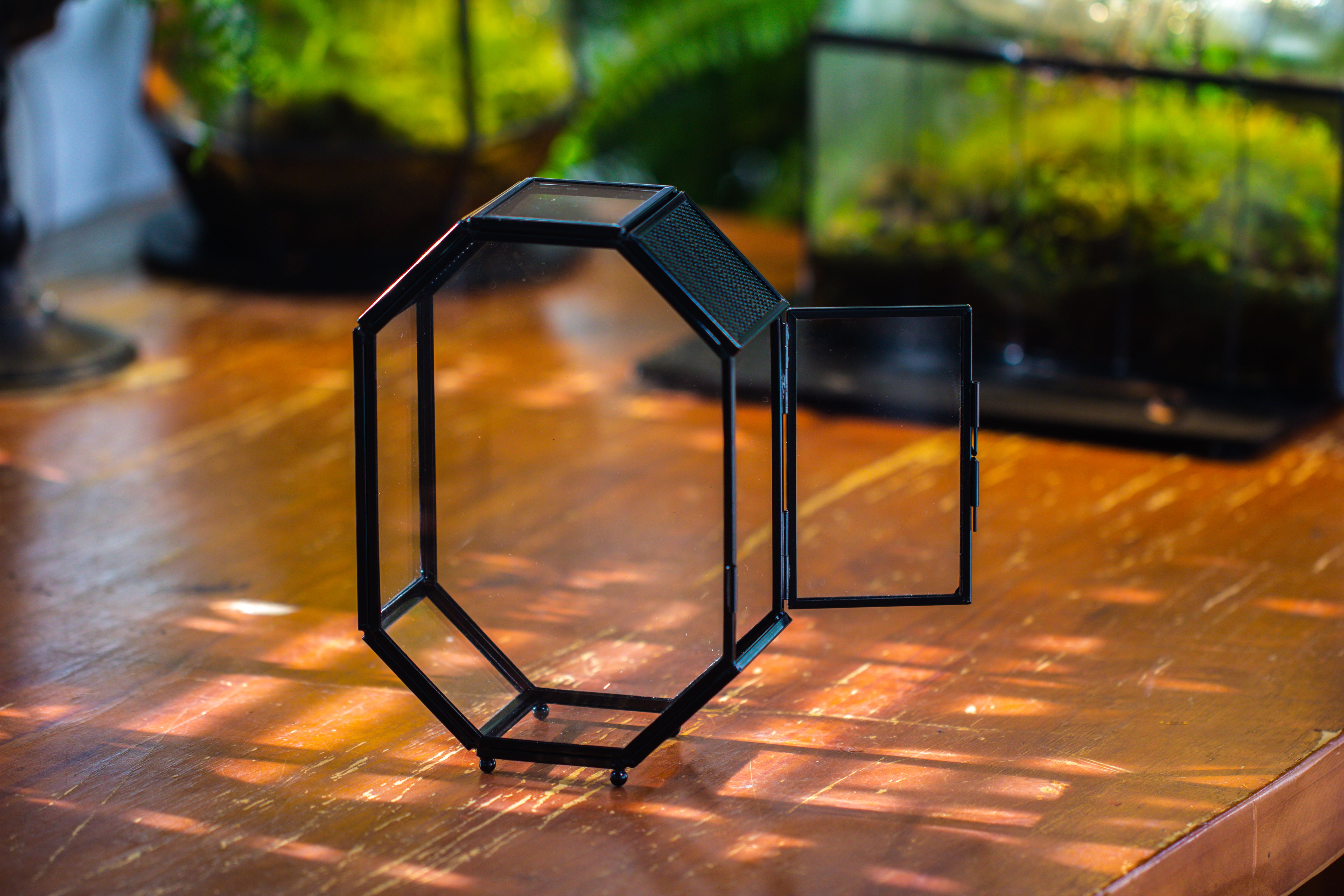 Mini 5x7 inches Octagon Shape Glass Geometric Terrarium Enclosure with Side Vent  for Small Insect, Jumping Spider - NCYPgarden
