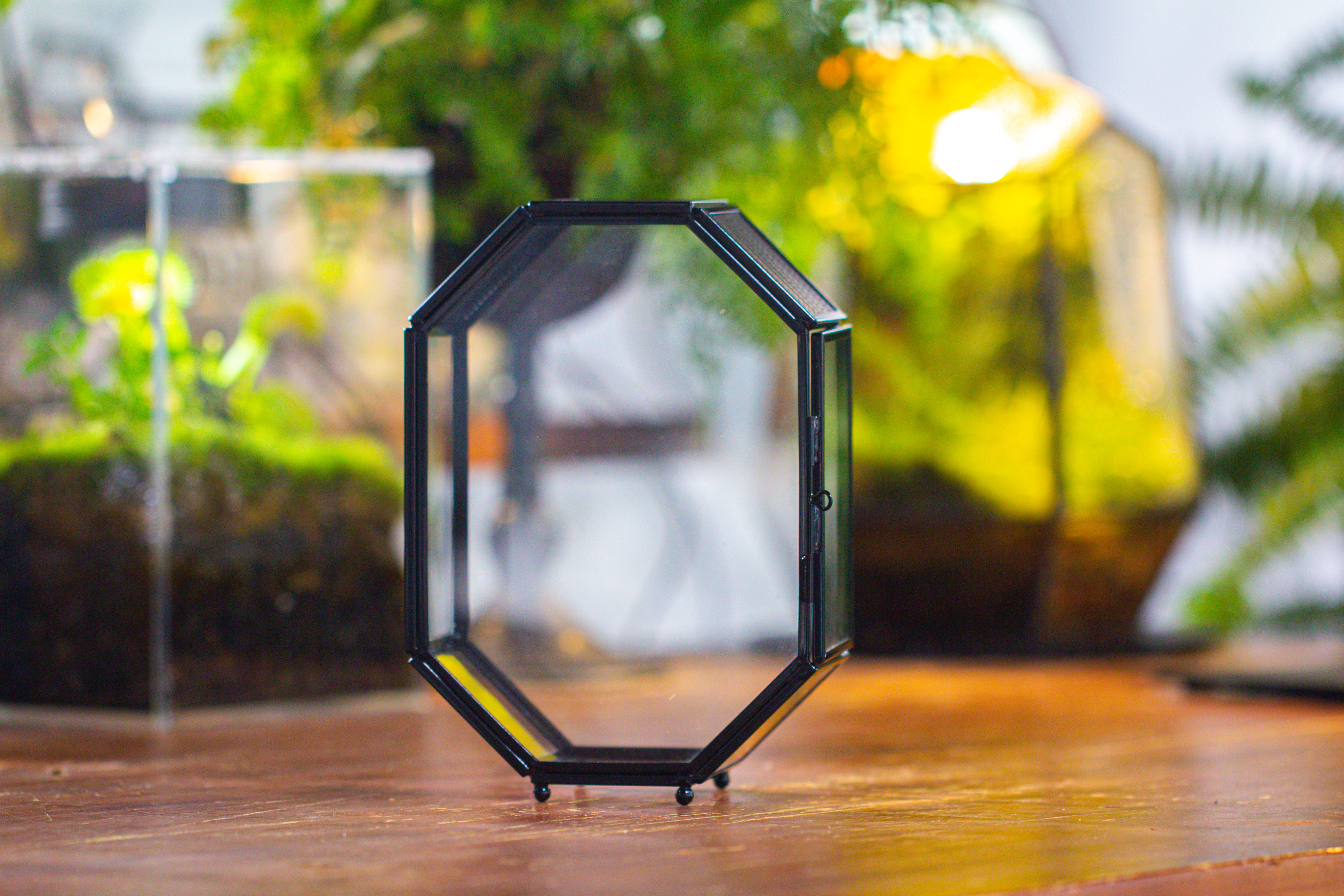 Mini 5x7 inches Octagon Shape Glass Geometric Terrarium Enclosure with Side Vent  for Small Insect, Jumping Spider - NCYPgarden