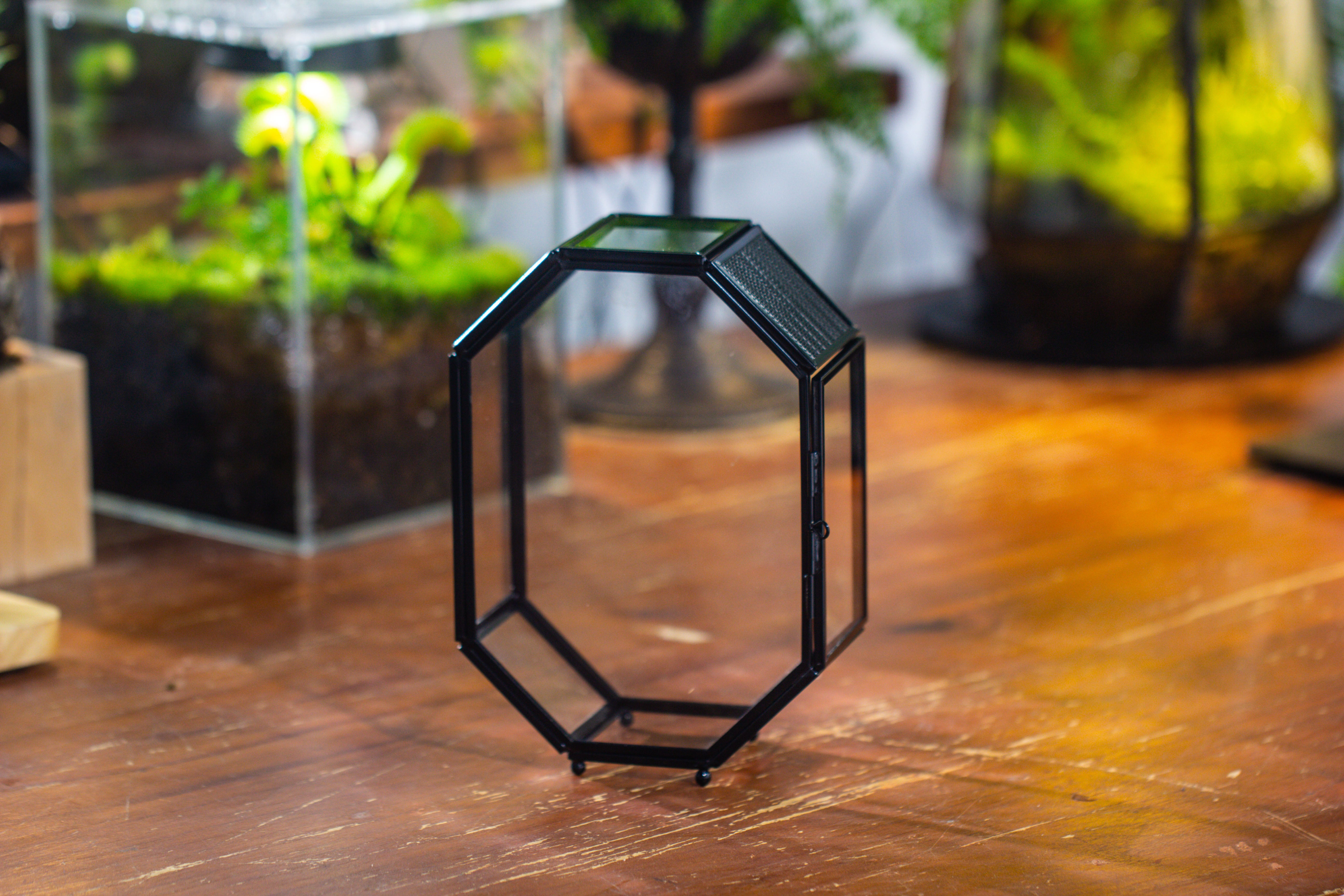 Mini 5x7 inches Octagon Shape Glass Geometric Terrarium Enclosure with Side Vent  for Small Insect, Jumping Spider - NCYPgarden