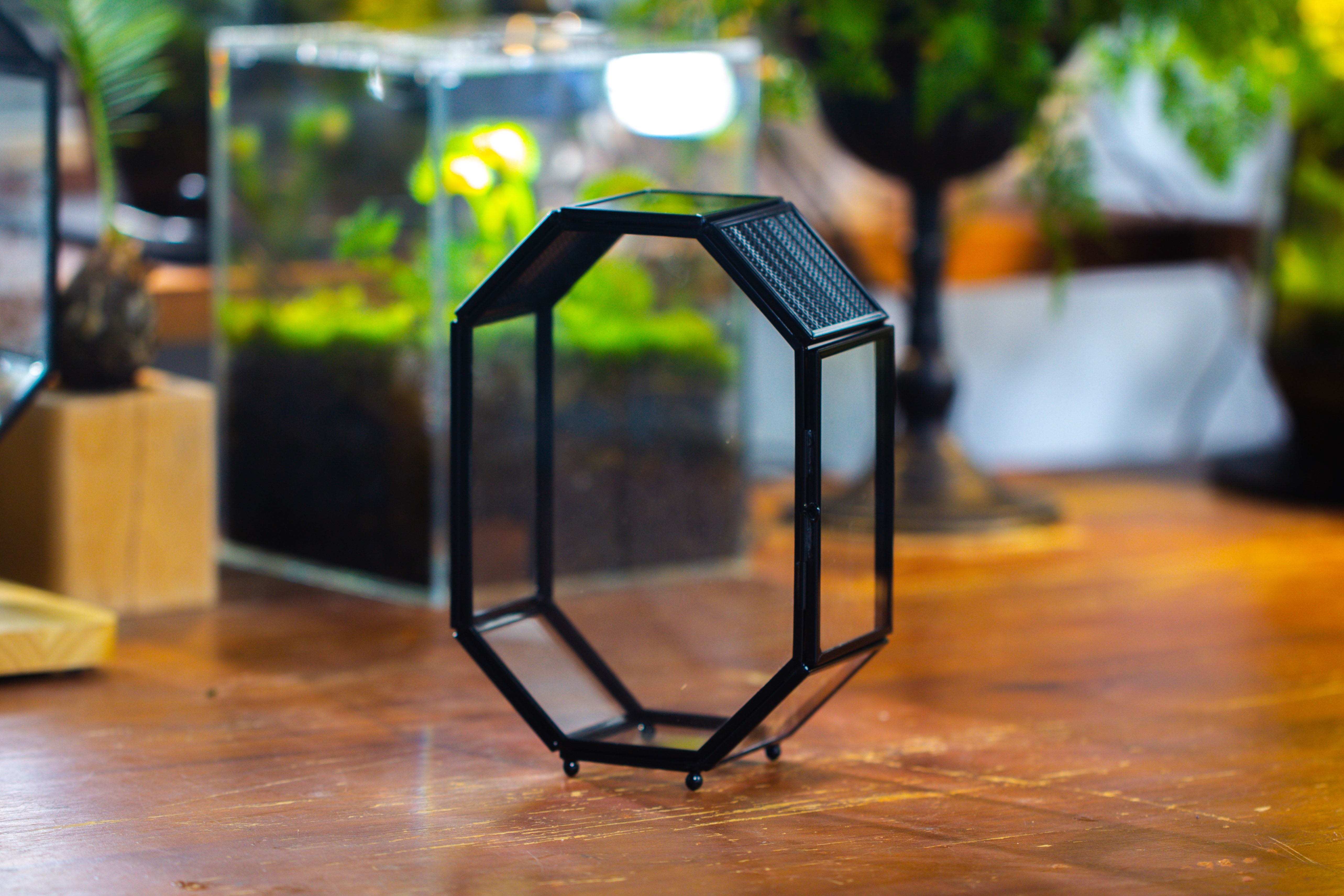 Mini 5x7 inches Octagon Shape Glass Geometric Terrarium Enclosure with Side Vent  for Small Insect, Jumping Spider - NCYPgarden