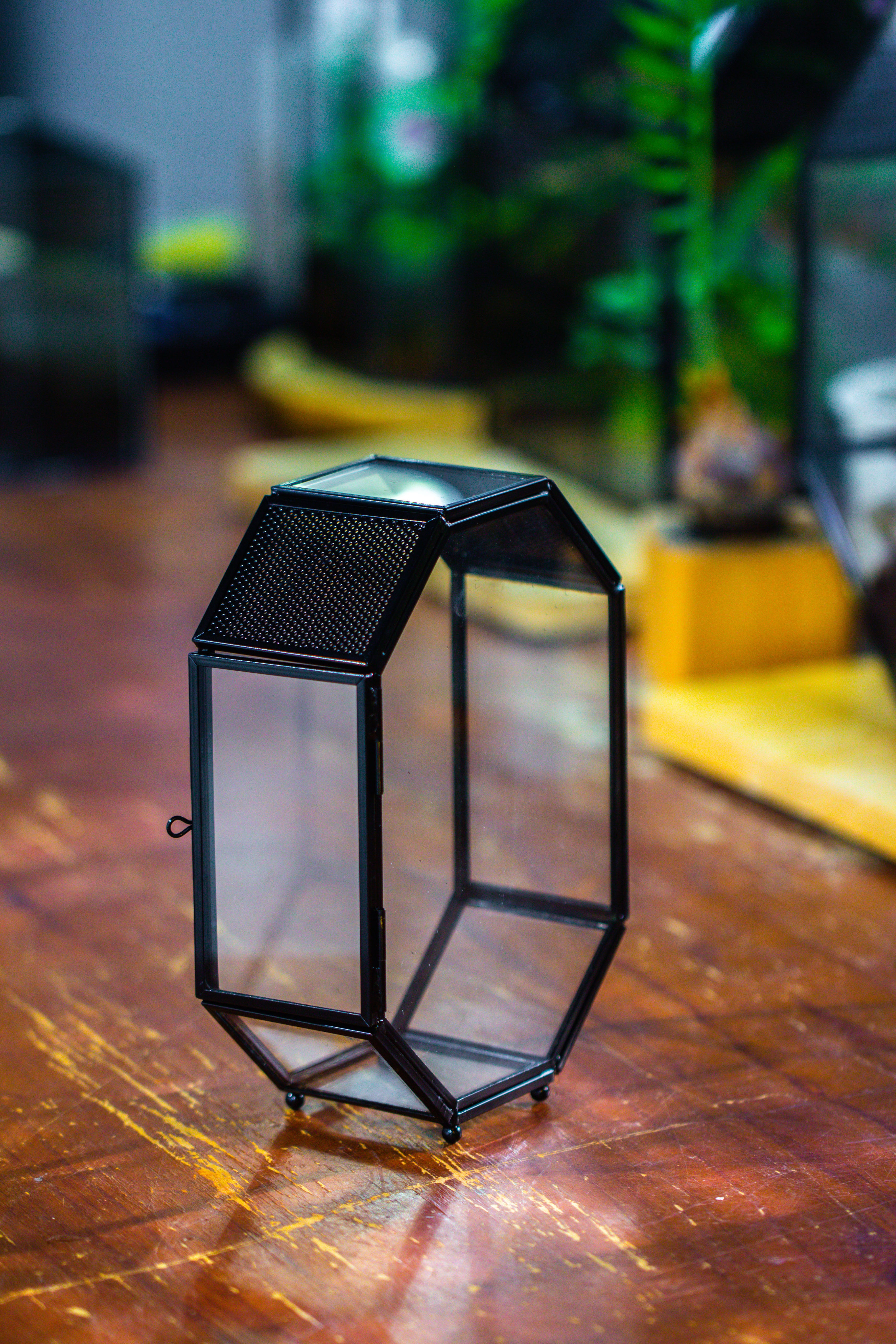 Mini 5x7 inches Octagon Shape Glass Geometric Terrarium Enclosure with Side Vent  for Small Insect, Jumping Spider - NCYPgarden