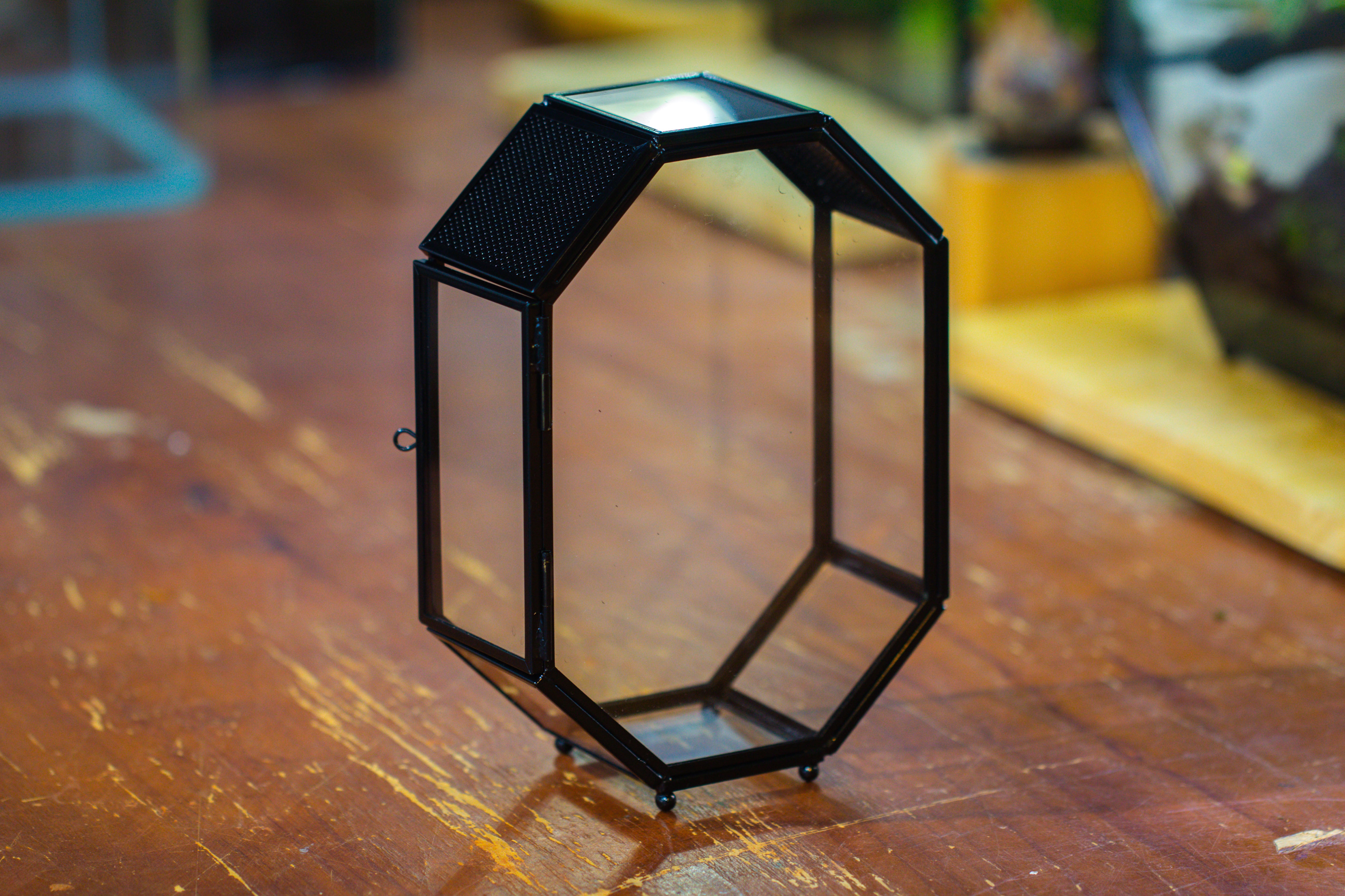 Mini 5x7 inches Octagon Shape Glass Geometric Terrarium Enclosure with Side Vent  for Small Insect, Jumping Spider - NCYPgarden