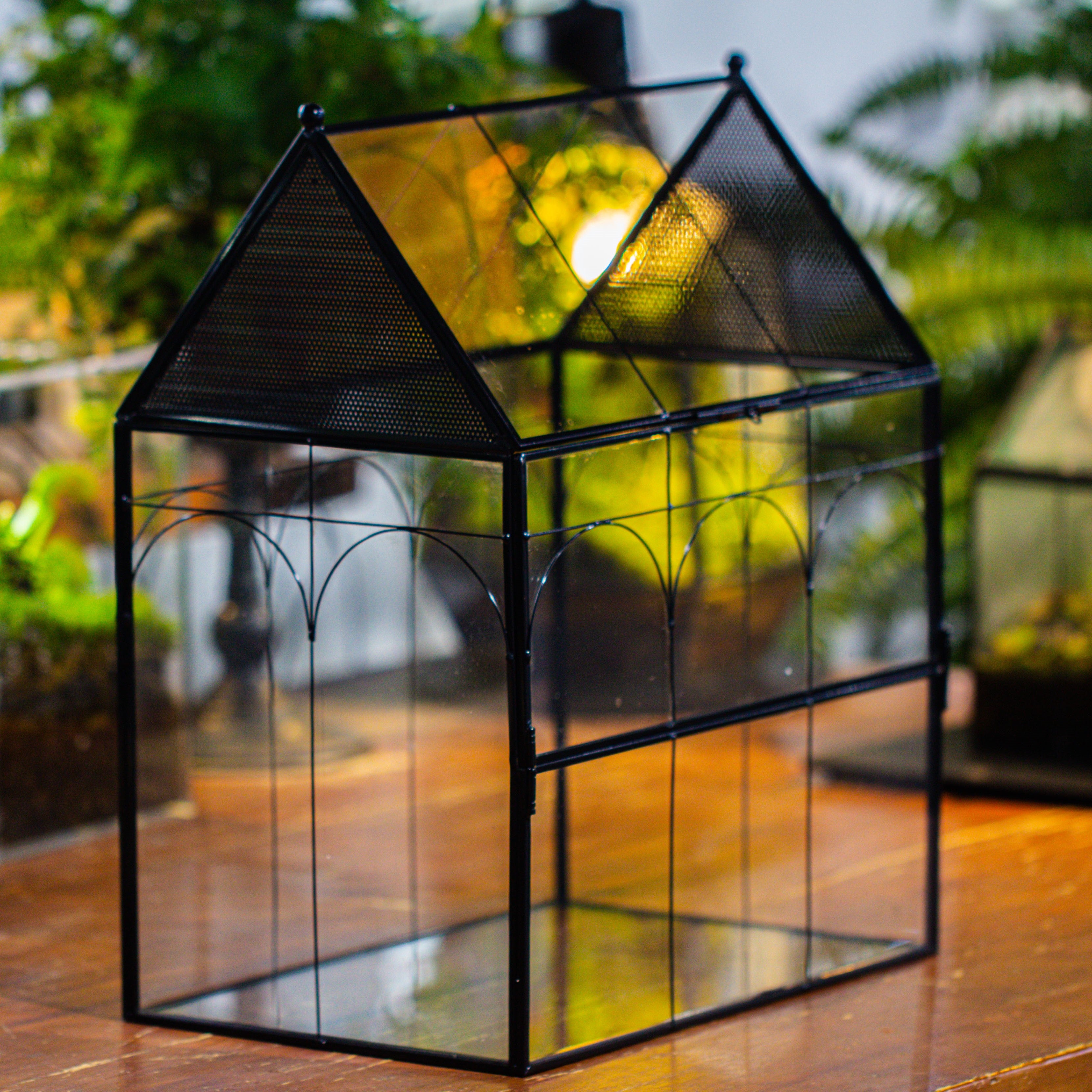 Large Vintage House Shape Insect Terrarium with Vent for Tarantulas, Mantis, Stick Insects -13" - NCYPgarden