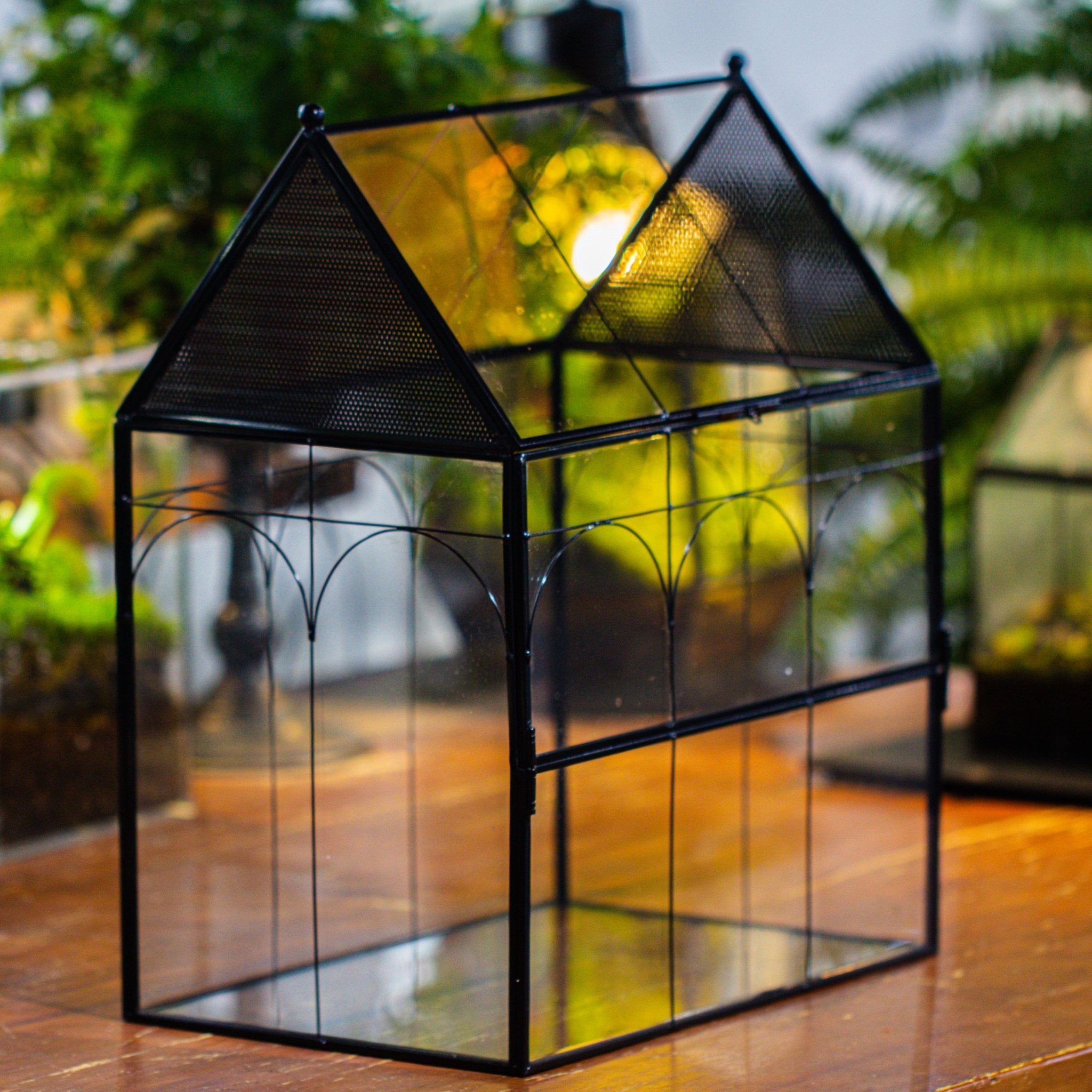 Large Vintage House Shape Insect Terrarium with Vent for Tarantulas, M ...