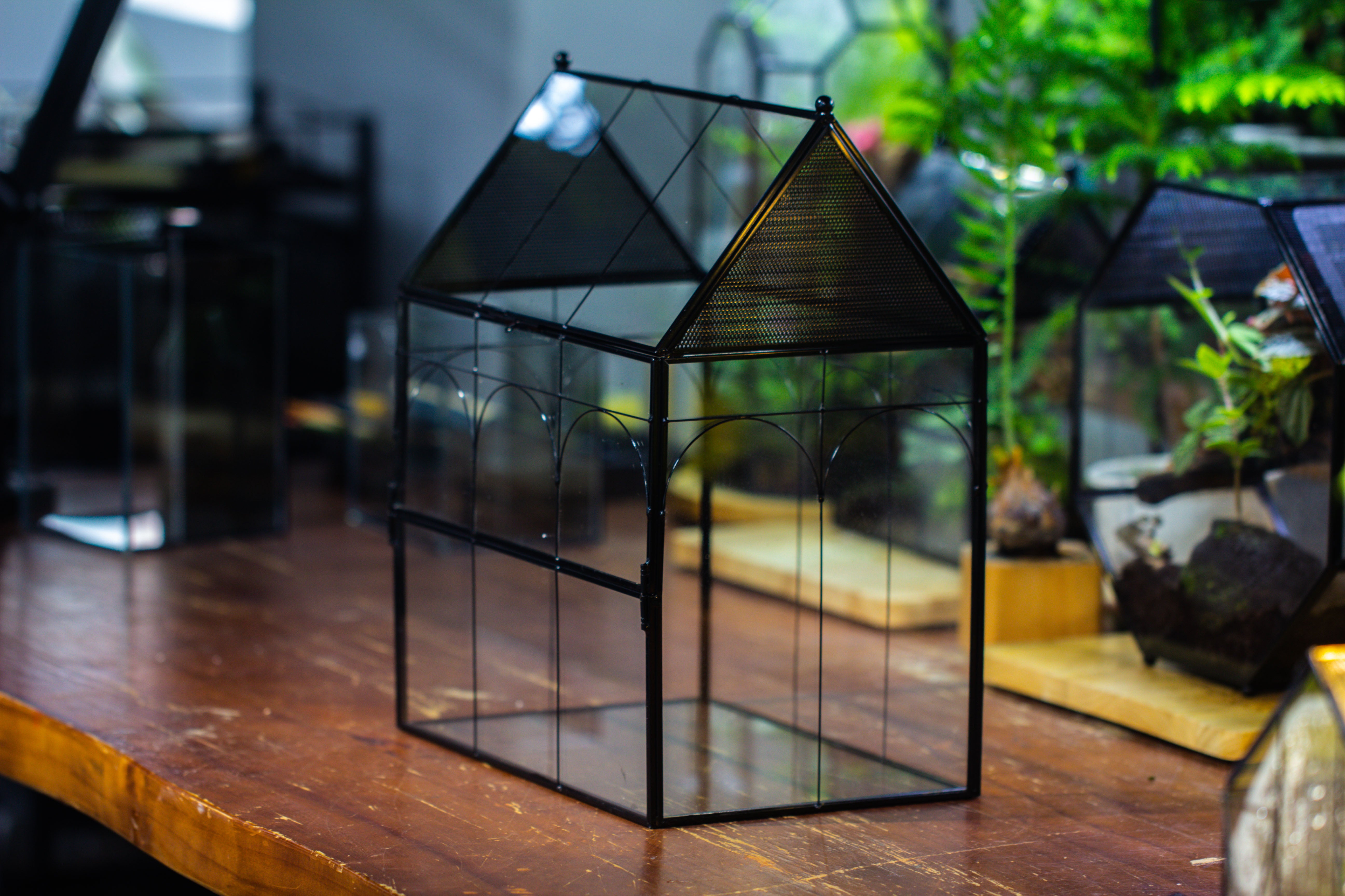 Large Vintage House Shape Insect Terrarium with Vent for Tarantulas, Mantis, Stick Insects -13" - NCYPgarden