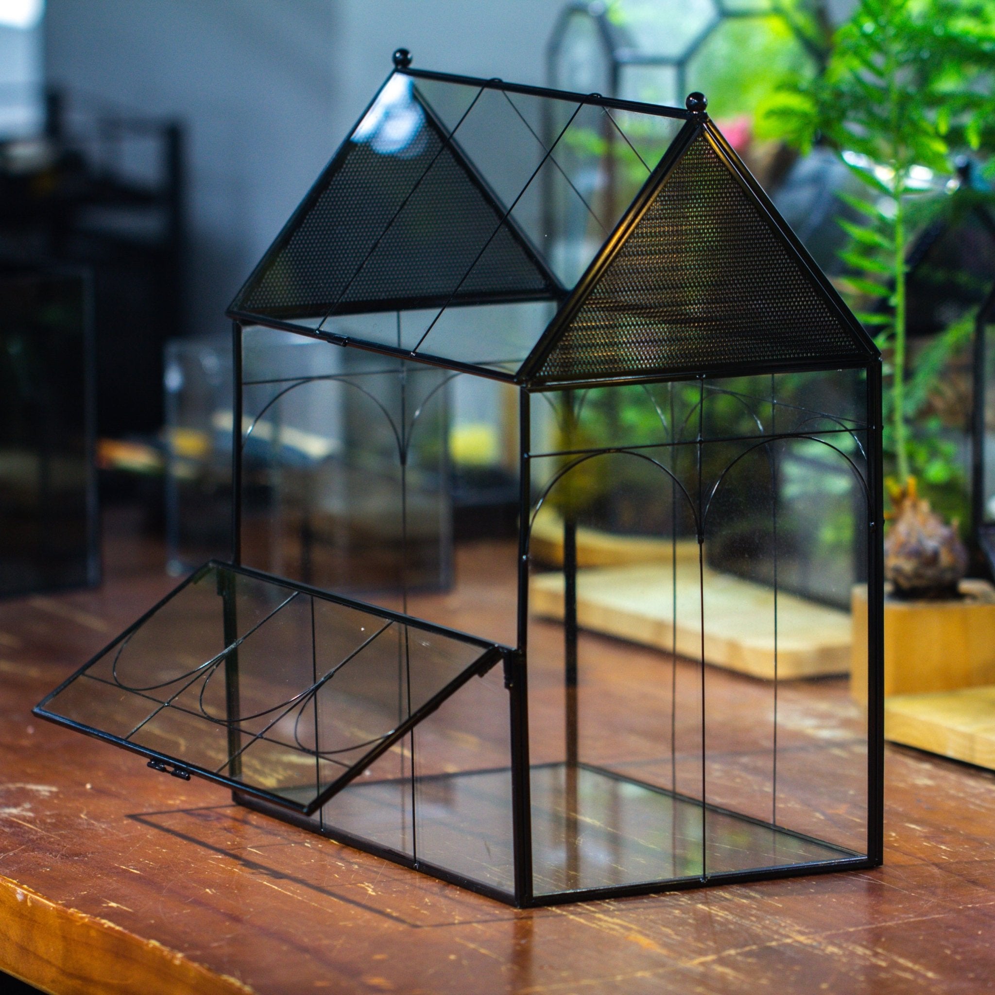 Large Vintage House Shape Insect Terrarium with Vent for Tarantulas, M ...