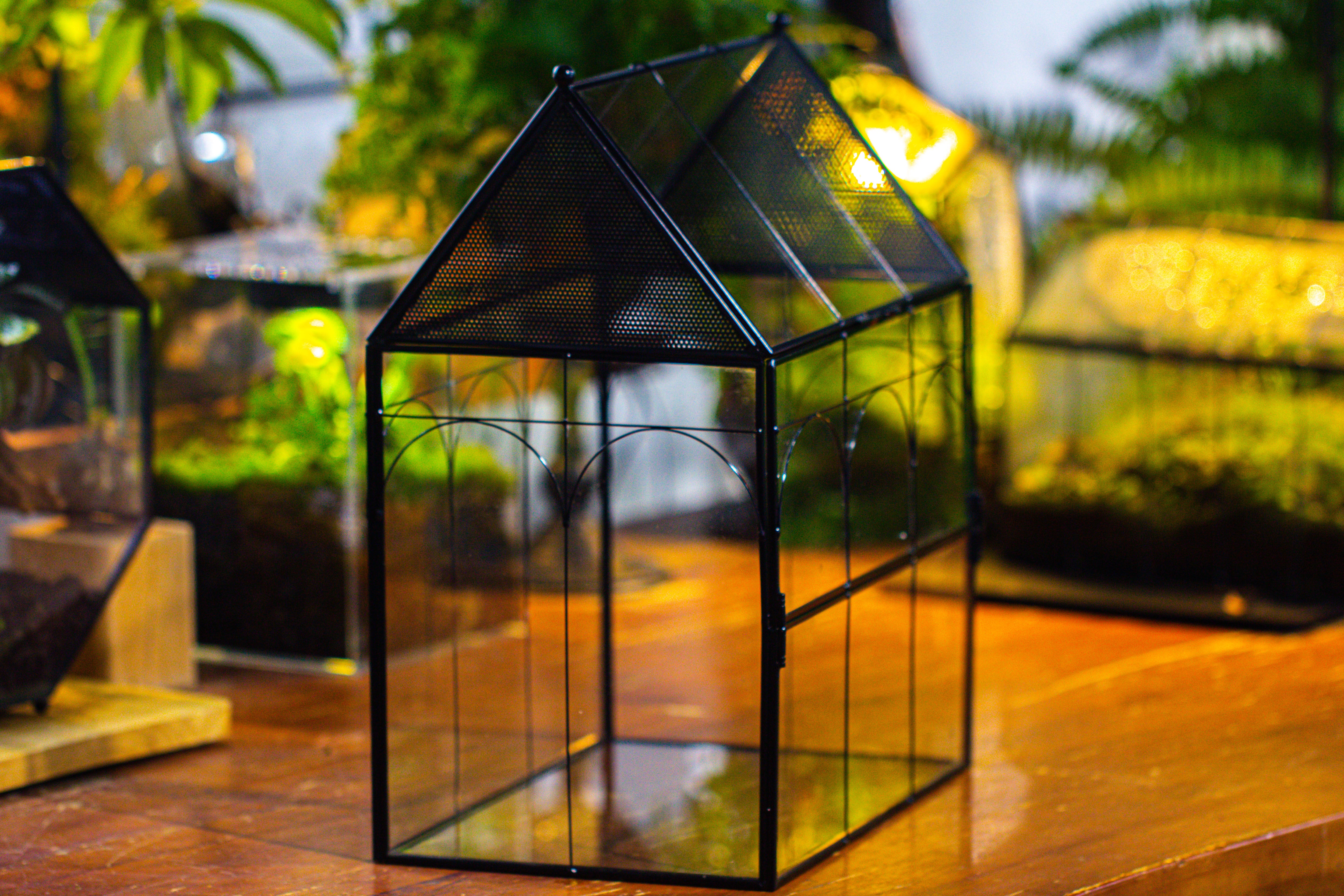Large Vintage House Shape Insect Terrarium with Vent for Tarantulas, Mantis, Stick Insects -13" - NCYPgarden