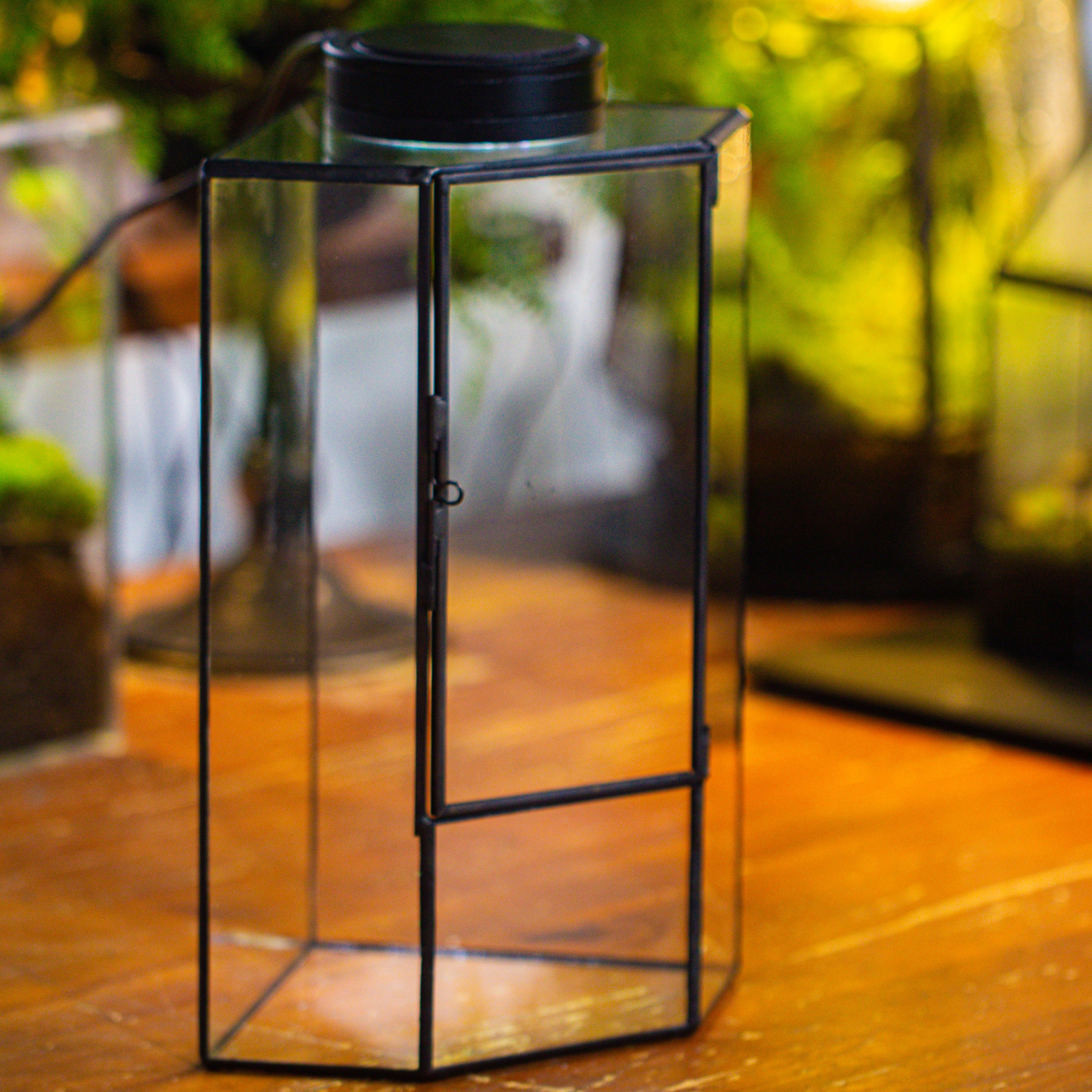 Small Version Handmade Glass Terrarium with Door for Plant, Moss Wall, Closed Geometric Tin Pentagon Planter - NCYPgarden