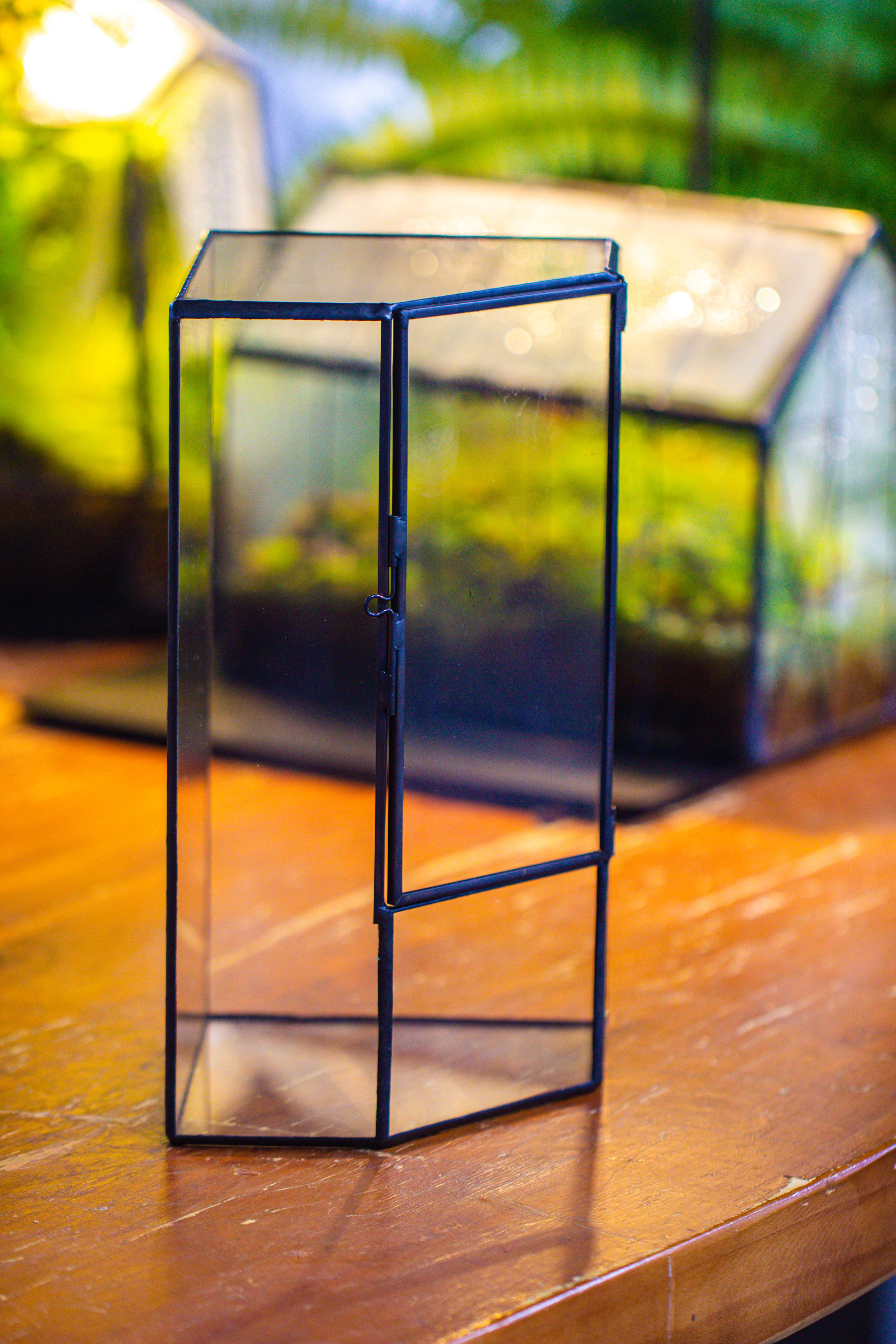 Small Version Handmade Glass Terrarium with Door for Plant, Moss Wall, Closed Geometric Tin Pentagon Planter - NCYPgarden