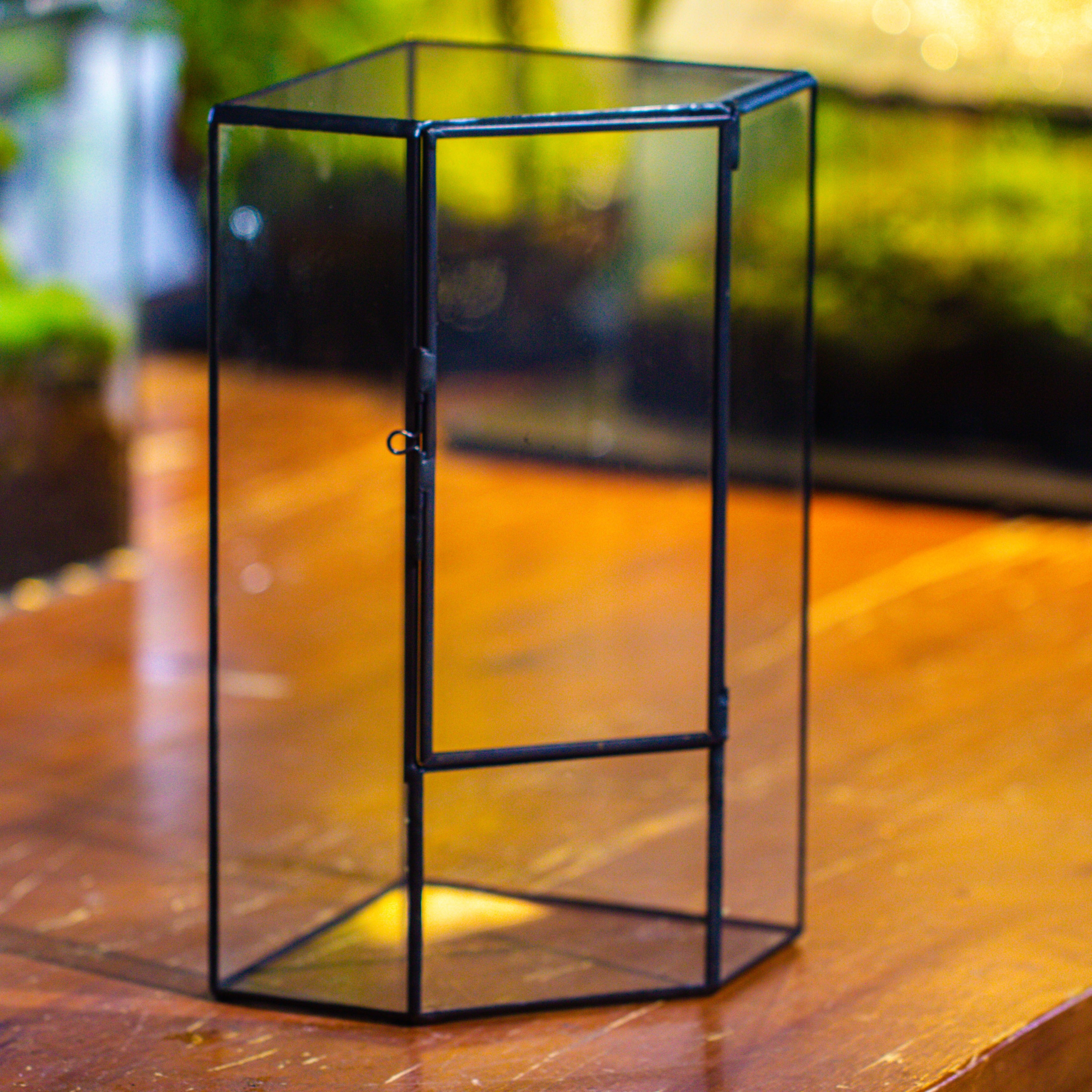 Small Version Handmade Glass Terrarium with Door for Plant, Moss Wall, Closed Geometric Tin Pentagon Planter - NCYPgarden