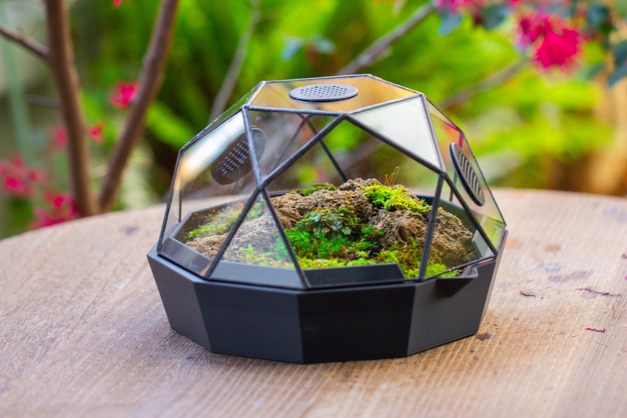 Dome Geometric Glass Terrarium, Vented, Two - part, for Moss Beginners PG08S2 - NCYPgarden