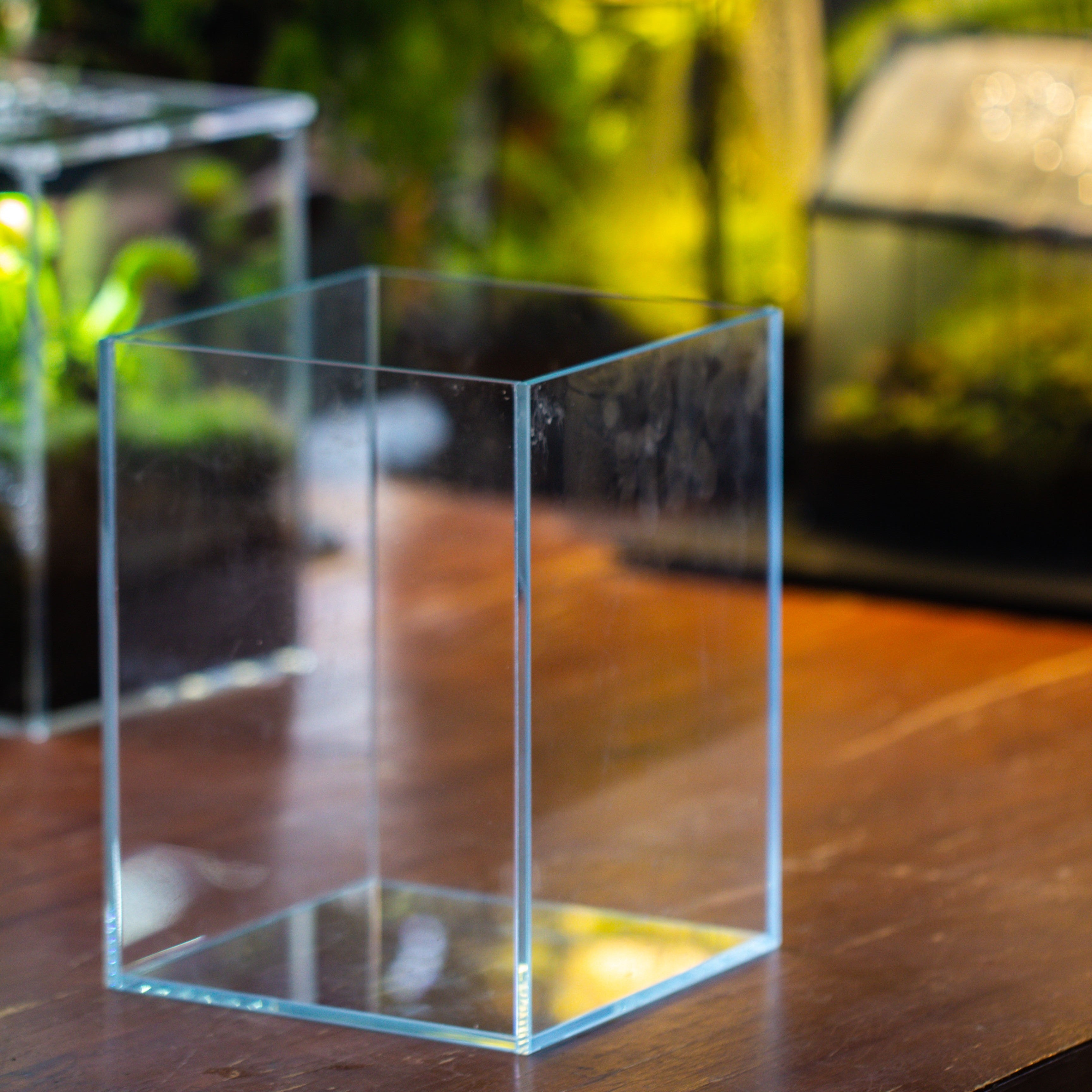 Watertight Glass Tank with LED Grow Light, Acrylic Lid, DIY Terrarium Kit-15x11x13cm / 5.9x4.3x5.1'' - NCYPgarden