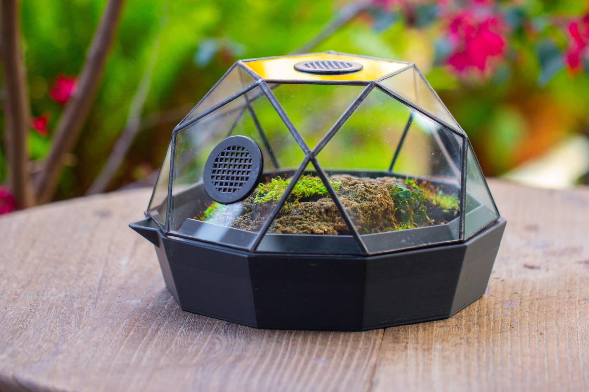 Dome Geometric Glass Terrarium, Vented, Two - part, for Moss Beginners PG08S2 - NCYPgarden