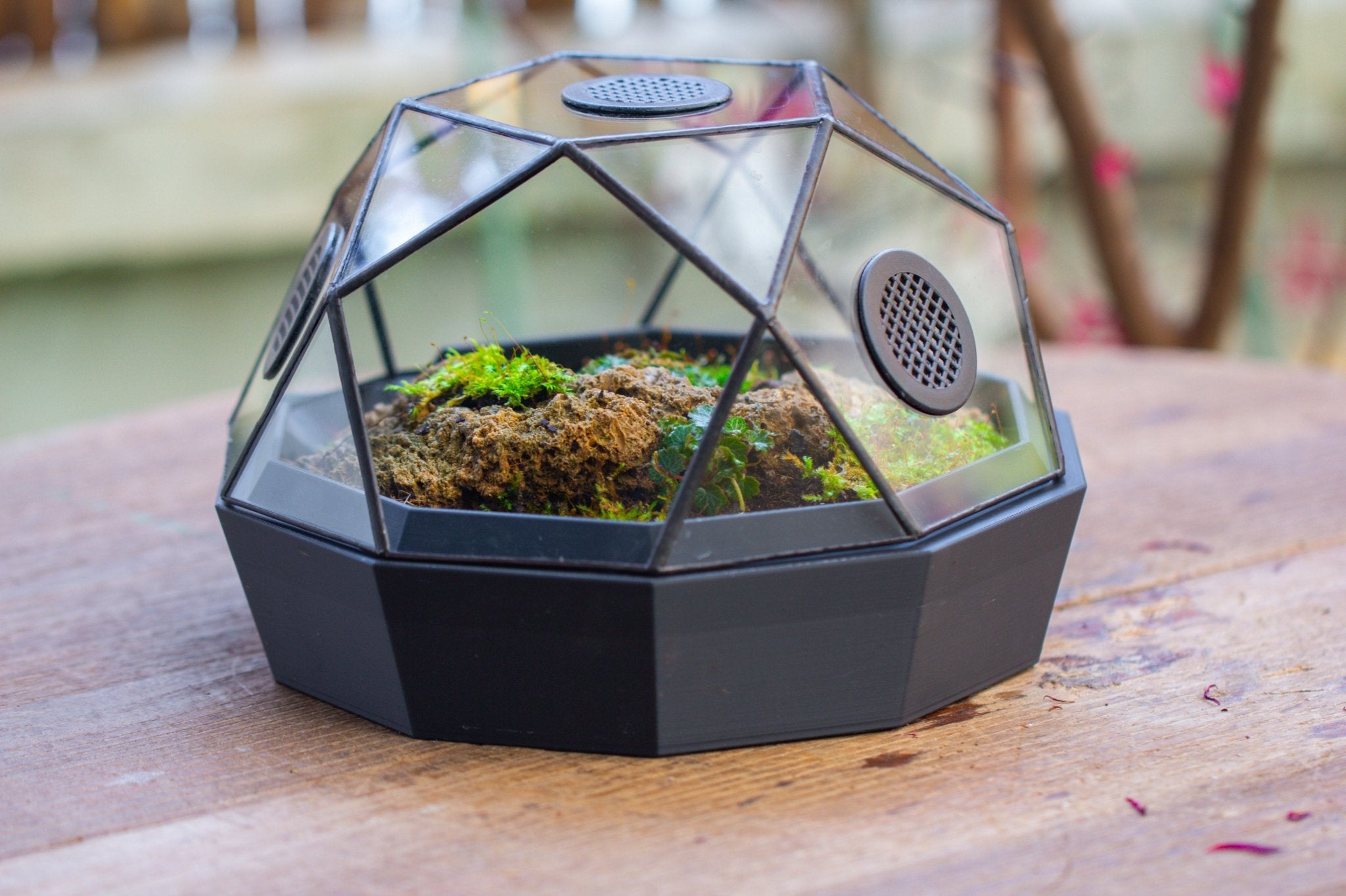 Dome Geometric Glass Terrarium, Vented, Two - part, for Moss Beginners PG08S2 - NCYPgarden