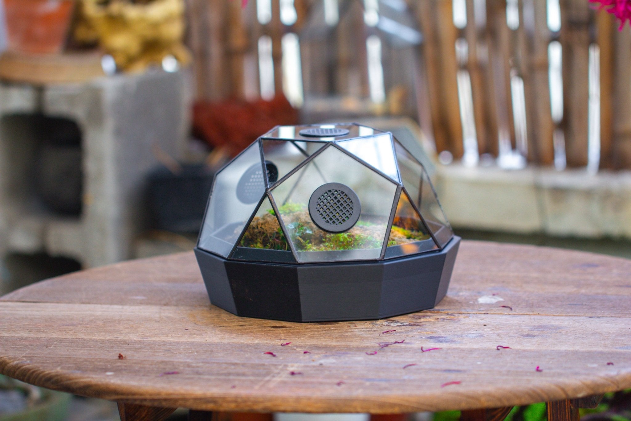 Dome Geometric Glass Terrarium, Vented, Two - part, for Moss Beginners PG08S2 - NCYPgarden