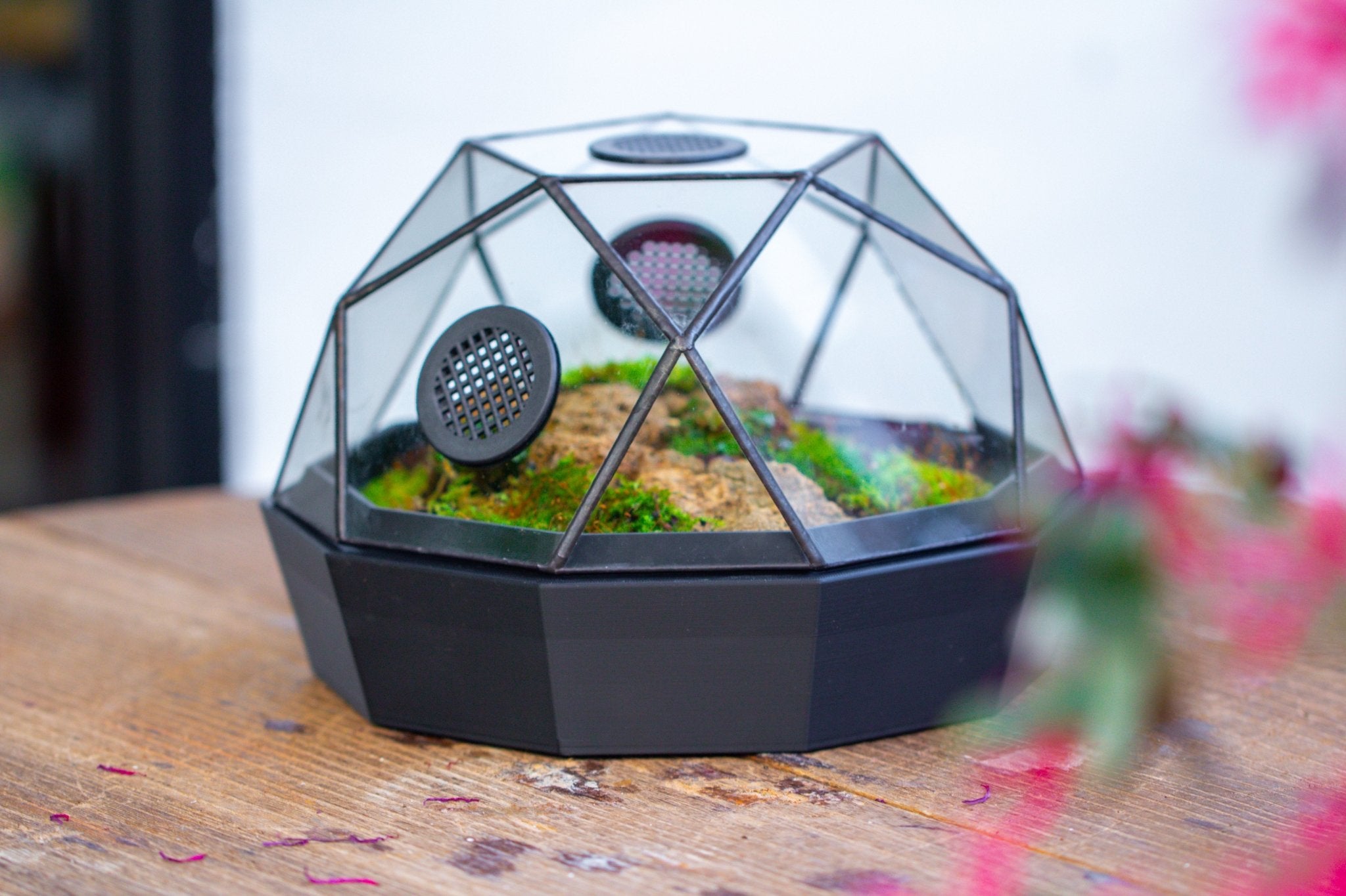 Dome Geometric Glass Terrarium, Vented, Two - part, for Moss Beginners PG08S2 - NCYPgarden