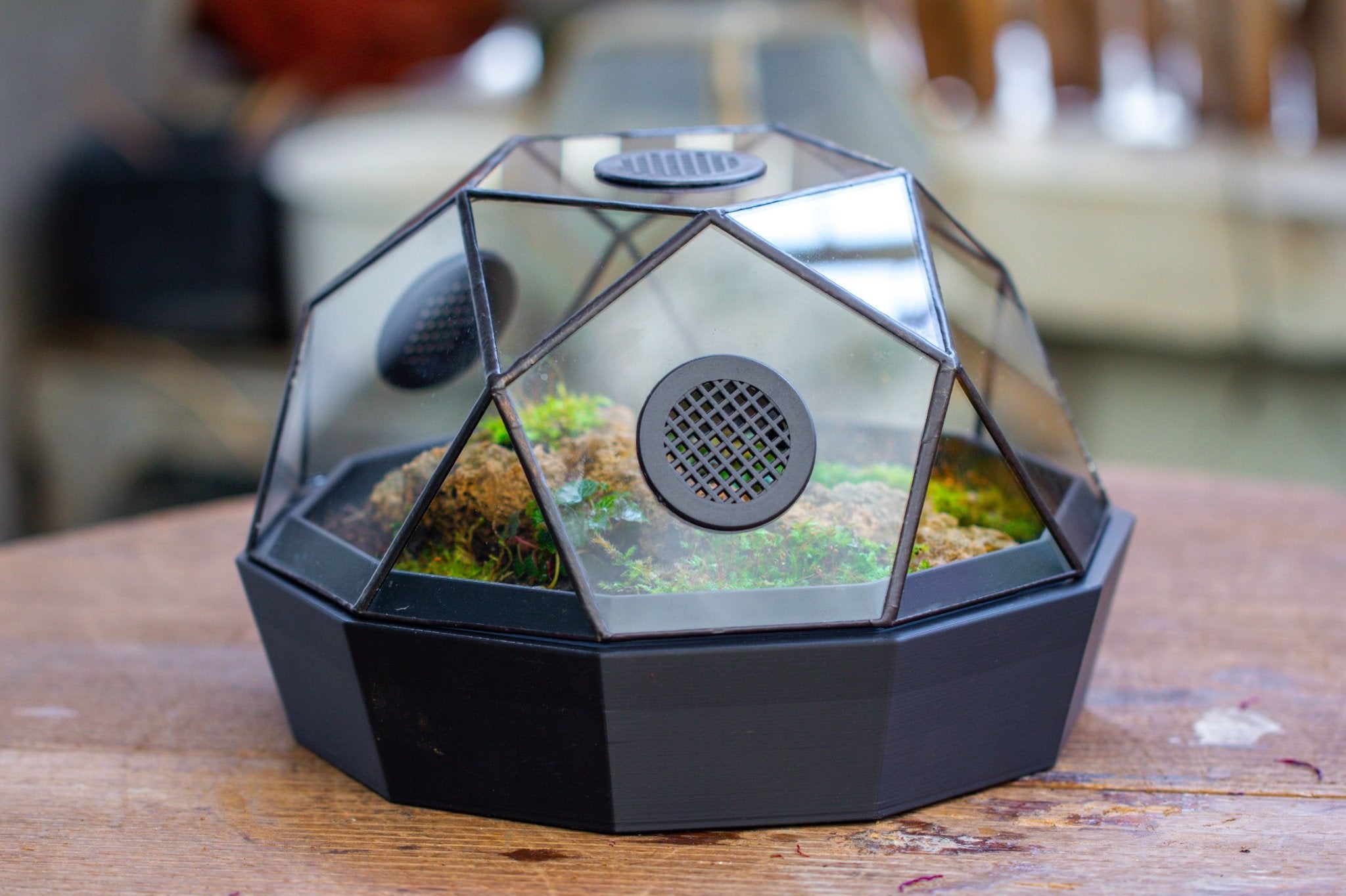 Dome Geometric Glass Terrarium, Vented, Two - part, for Moss Beginners PG08S2 - NCYPgarden