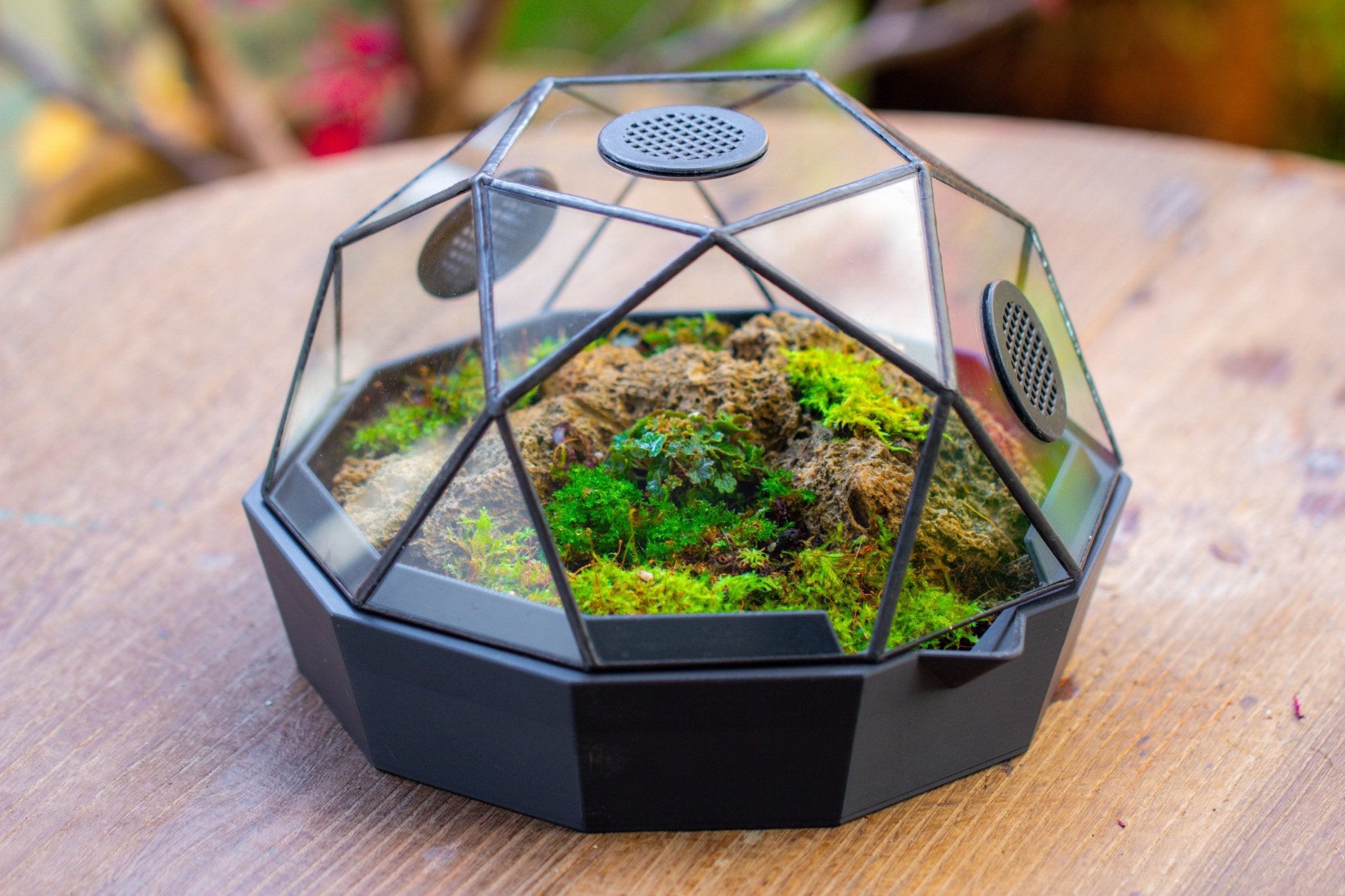 Dome Geometric Glass Terrarium, Vented, Two - part, for Moss Beginners PG08S2 - NCYPgarden