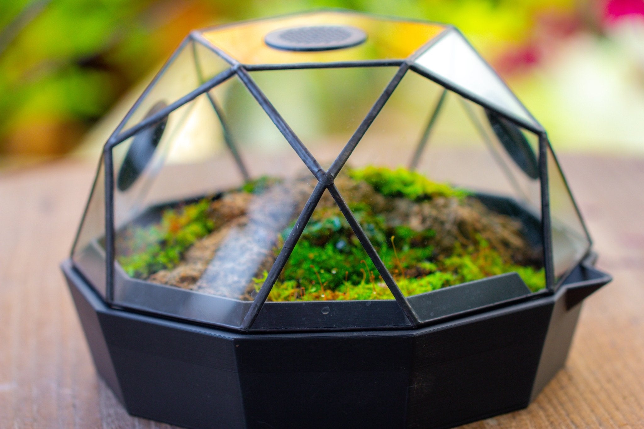 Dome Geometric Glass Terrarium, Vented, Two - part, for Moss Beginners PG08S2 - NCYPgarden