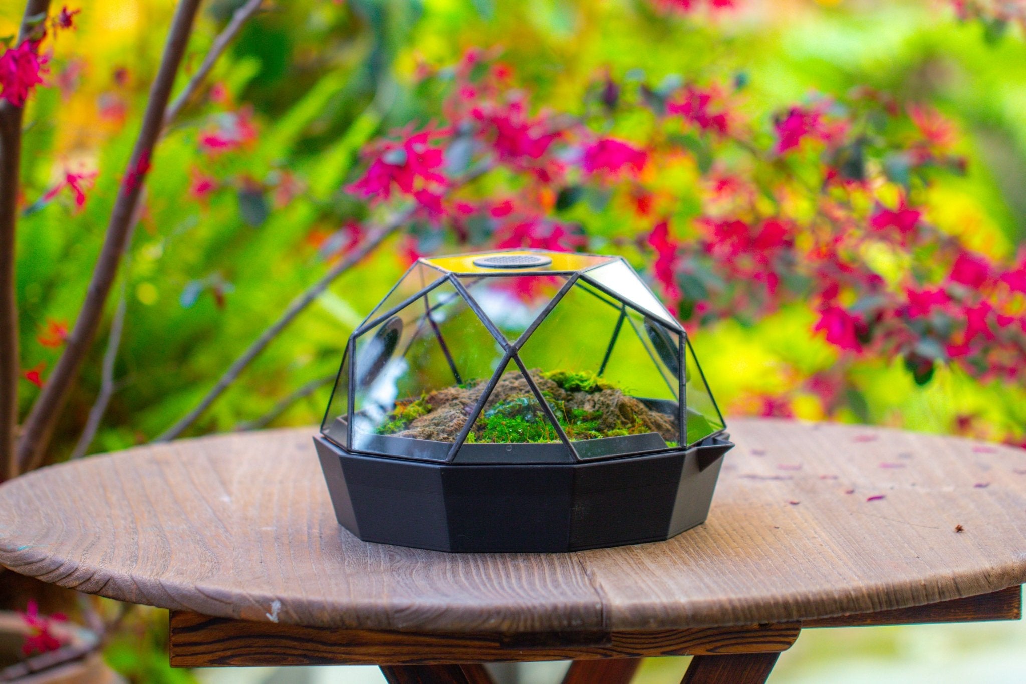 Dome Geometric Glass Terrarium, Vented, Two - part, for Moss Beginners PG08S2 - NCYPgarden