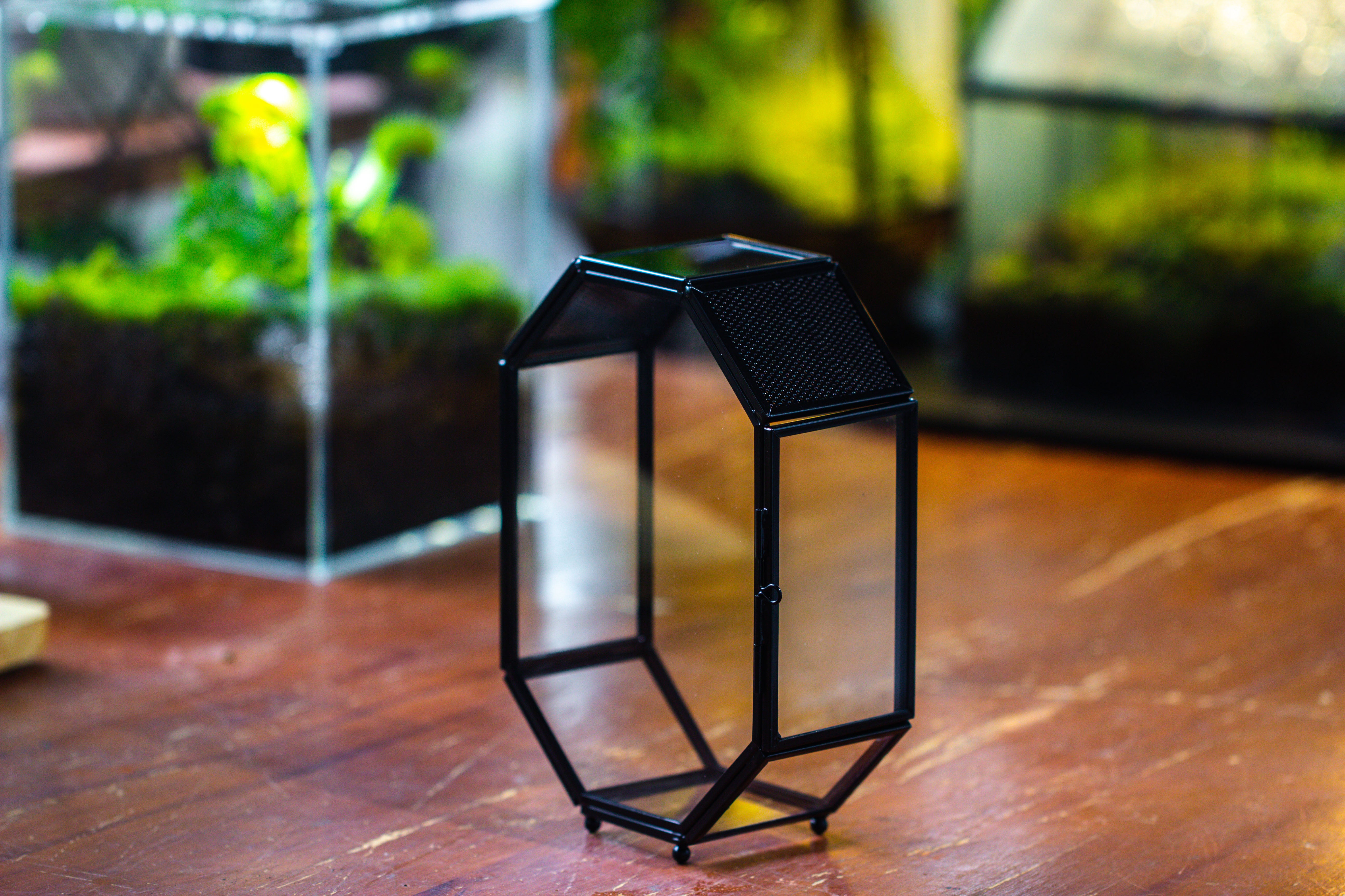 Mini 5x7 inches Octagon Shape Glass Geometric Terrarium Enclosure with Side Vent  for Small Insect, Jumping Spider - NCYPgarden
