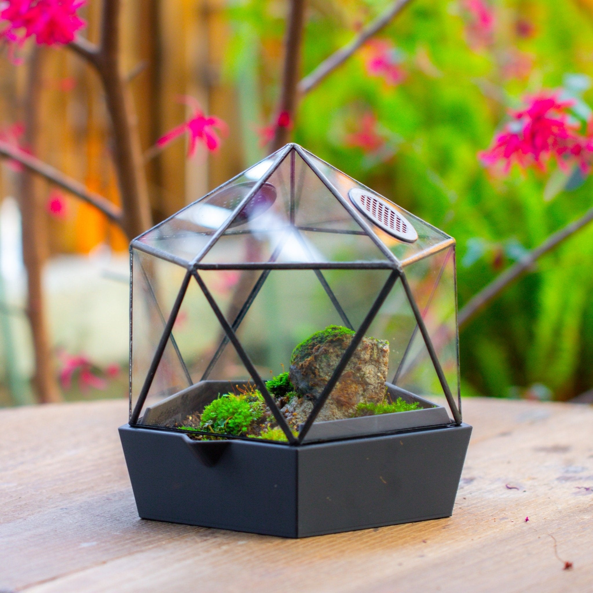 Yurt Dome Geometric Glass Terrarium, Vented, Two - part, for Mosy Stone PG07S2 - NCYPgarden
