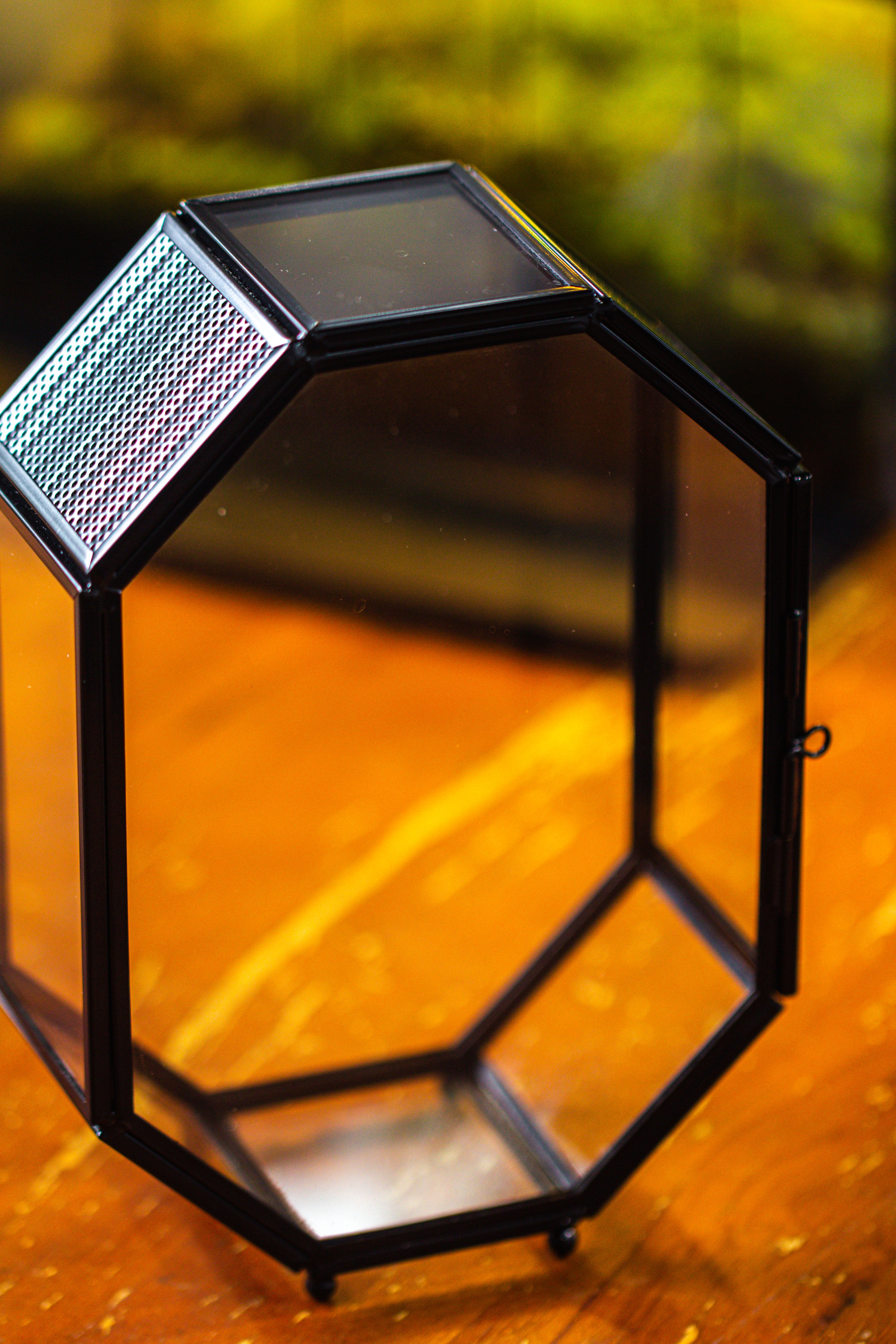 Mini 5x7 inches Octagon Shape Glass Geometric Terrarium Enclosure with Side Vent  for Small Insect, Jumping Spider - NCYPgarden