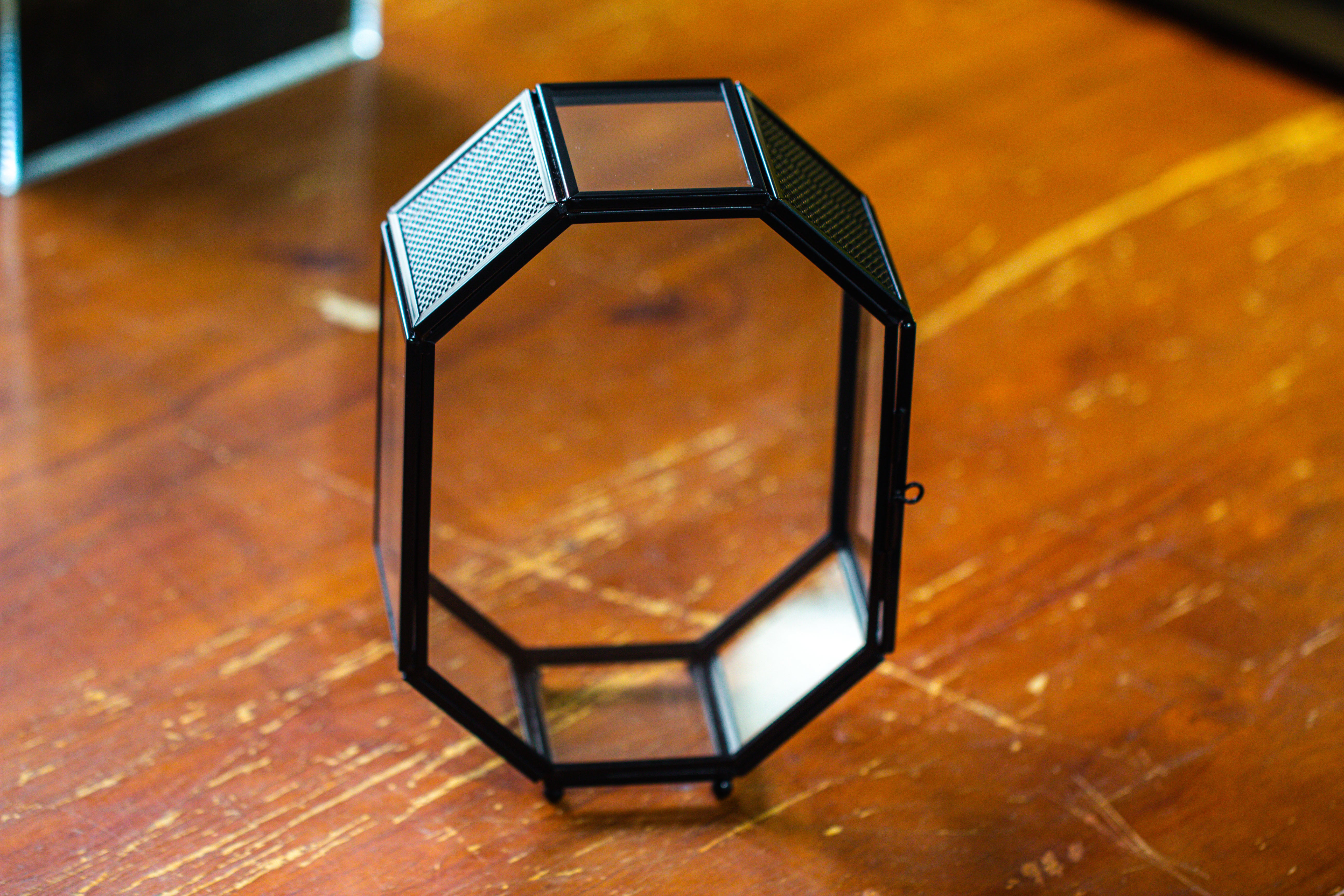 Mini 5x7 inches Octagon Shape Glass Geometric Terrarium Enclosure with Side Vent  for Small Insect, Jumping Spider - NCYPgarden