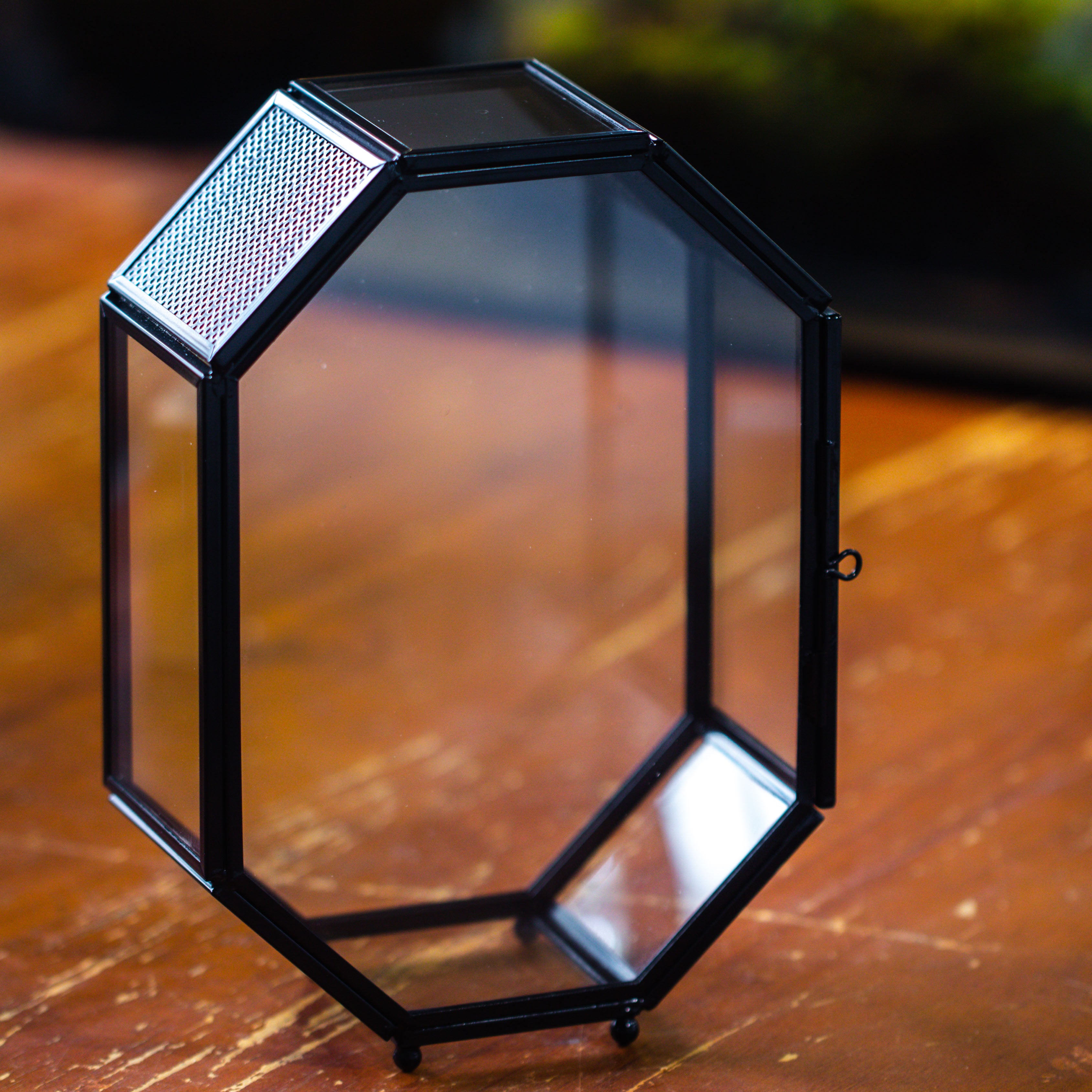 Mini 5x7 inches Octagon Shape Glass Geometric Terrarium Enclosure with Side Vent  for Small Insect, Jumping Spider - NCYPgarden