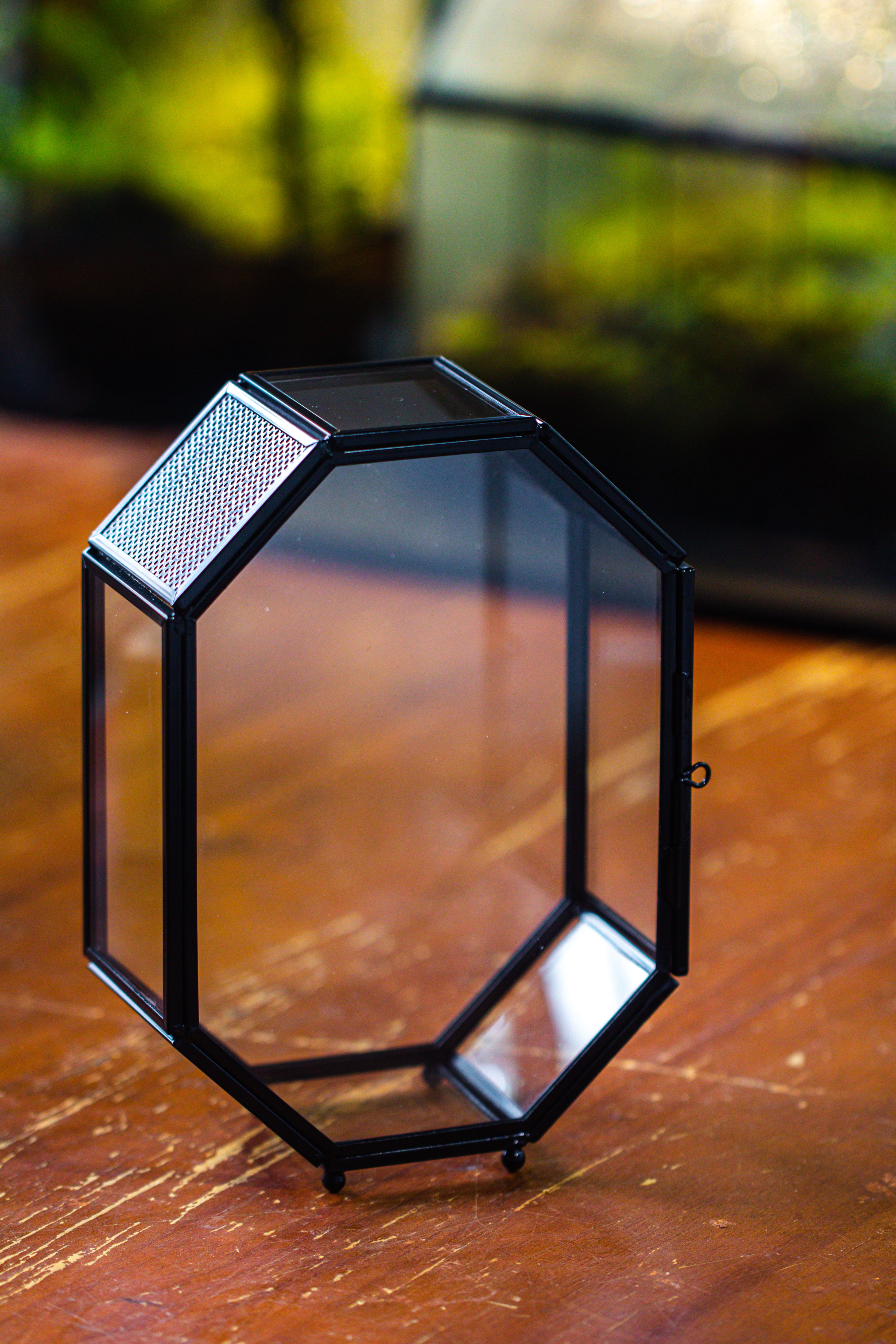 Mini 5x7 inches Octagon Shape Glass Geometric Terrarium Enclosure with Side Vent  for Small Insect, Jumping Spider - NCYPgarden