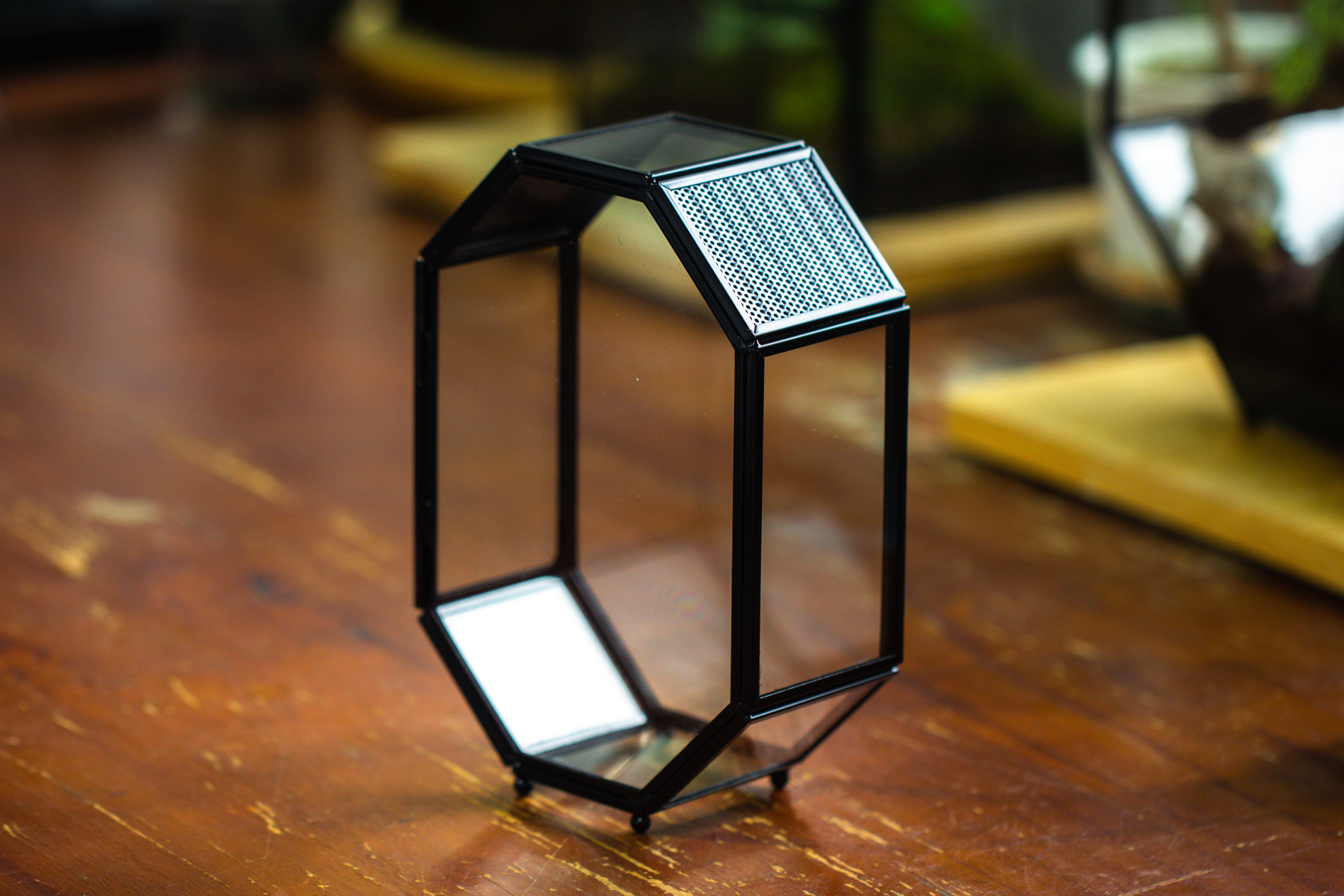 Mini 5x7 inches Octagon Shape Glass Geometric Terrarium Enclosure with Side Vent  for Small Insect, Jumping Spider - NCYPgarden