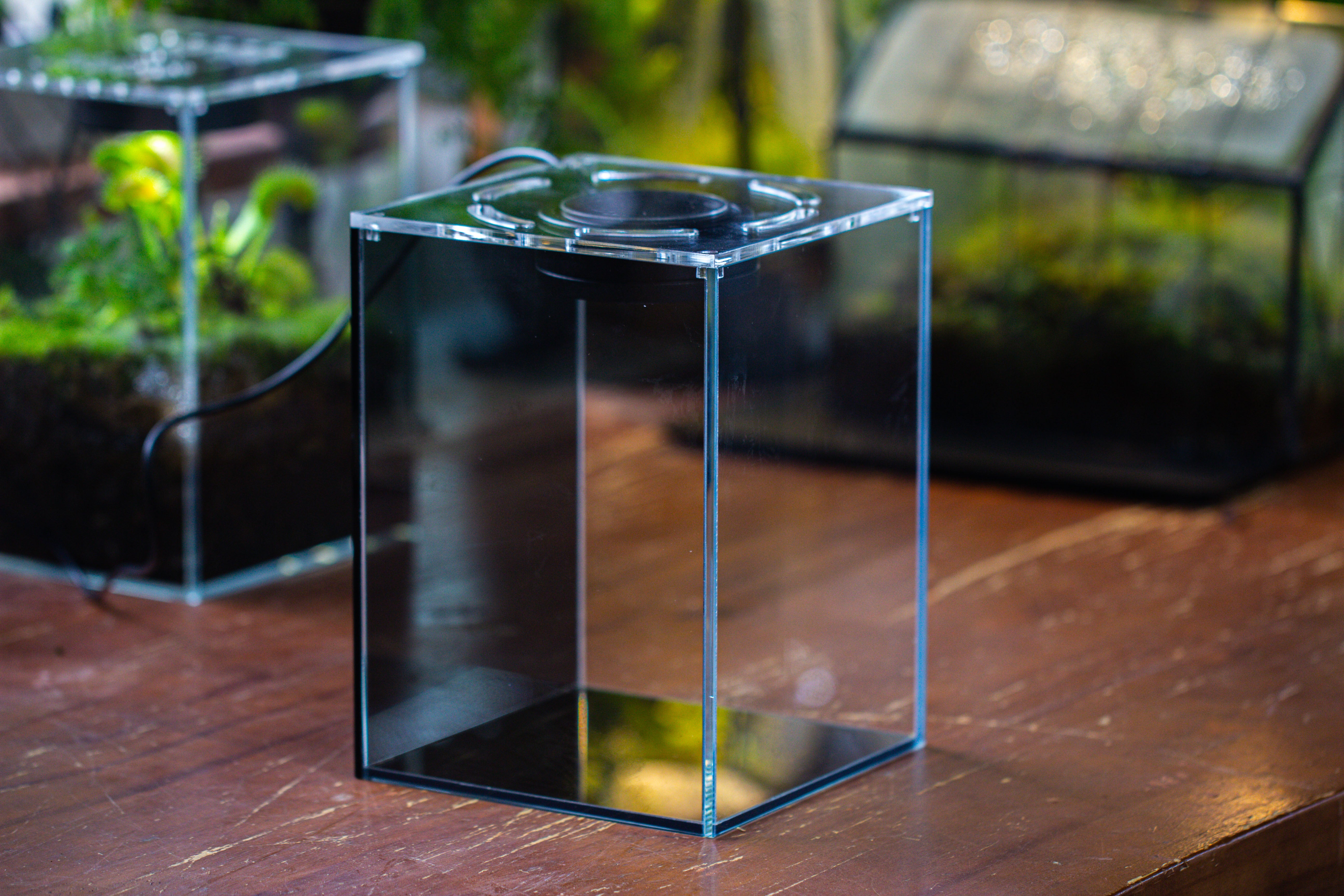 Watertight Glass Terrarium with LED Grow Light, Acrylic Lid for Moss Wall, vertical planting -15x15x20cm / 5.9x5.9x7.8 - NCYPgarden