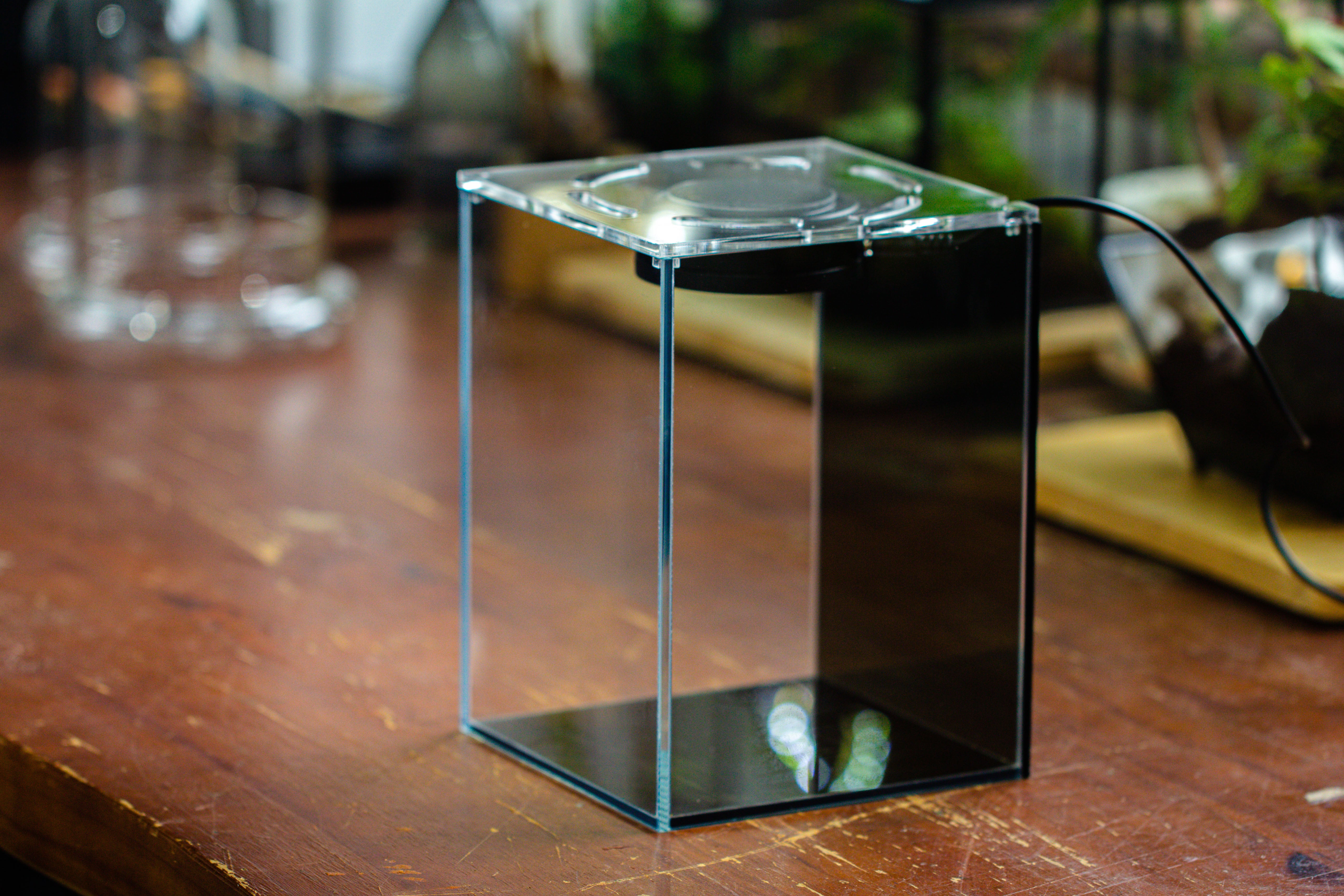 Watertight Glass Terrarium with LED Grow Light, Acrylic Lid for Moss Wall, vertical planting -15x15x20cm / 5.9x5.9x7.8 - NCYPgarden