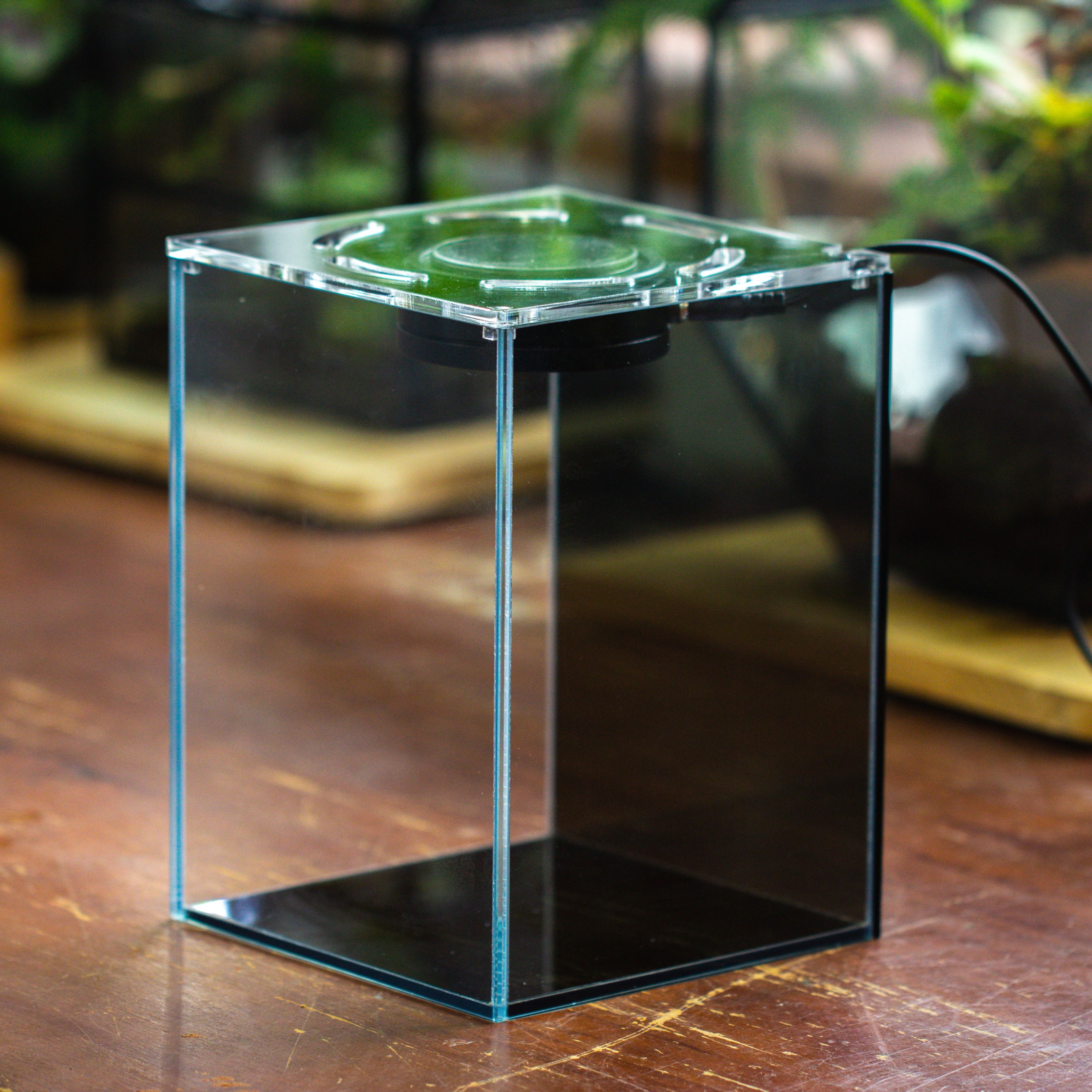 Watertight Glass Terrarium with LED Grow Light, Acrylic Lid for Moss Wall, vertical planting -15x15x20cm / 5.9x5.9x7.8 - NCYPgarden