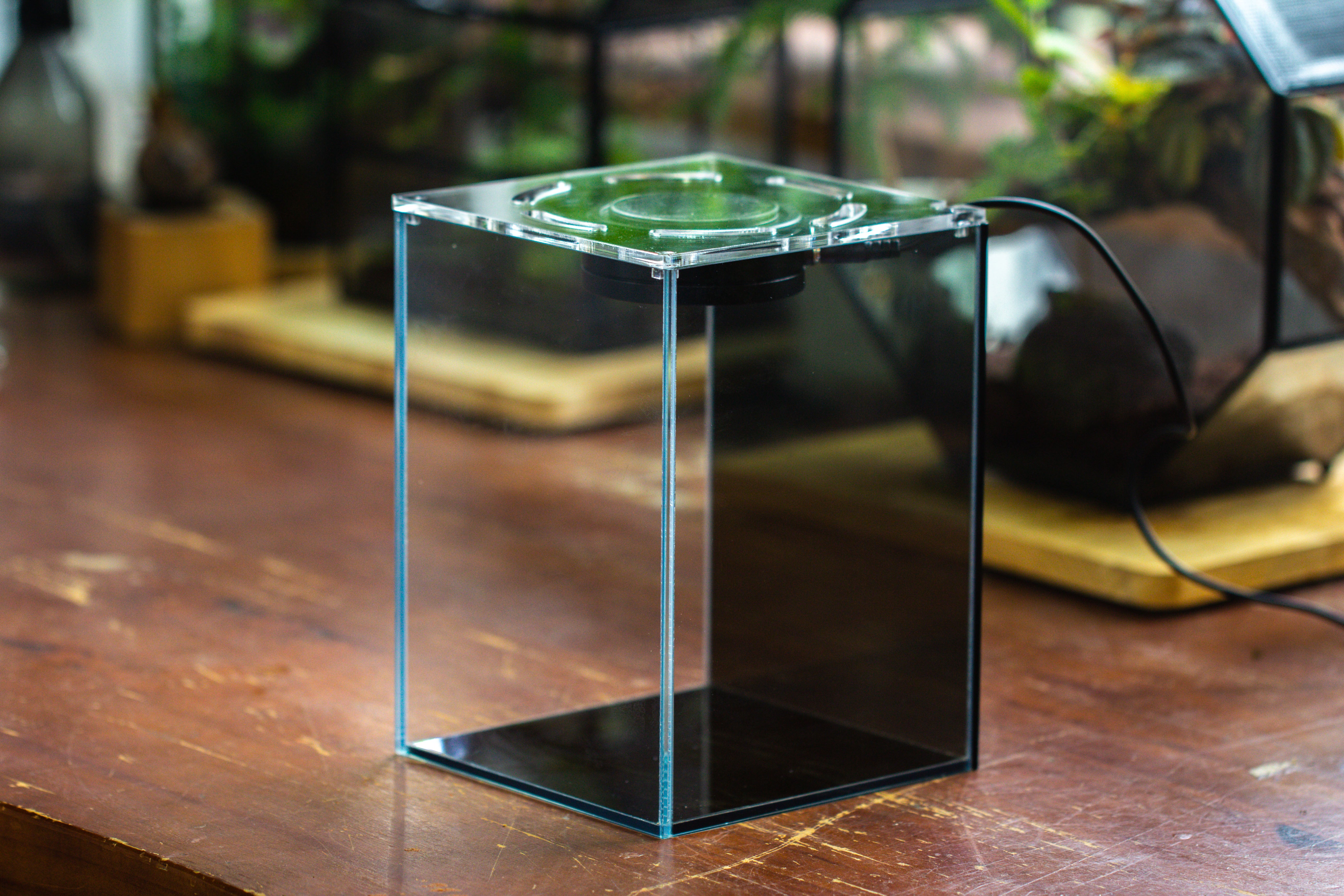 Watertight Glass Terrarium with LED Grow Light, Acrylic Lid for Moss Wall, vertical planting -15x15x20cm / 5.9x5.9x7.8 - NCYPgarden