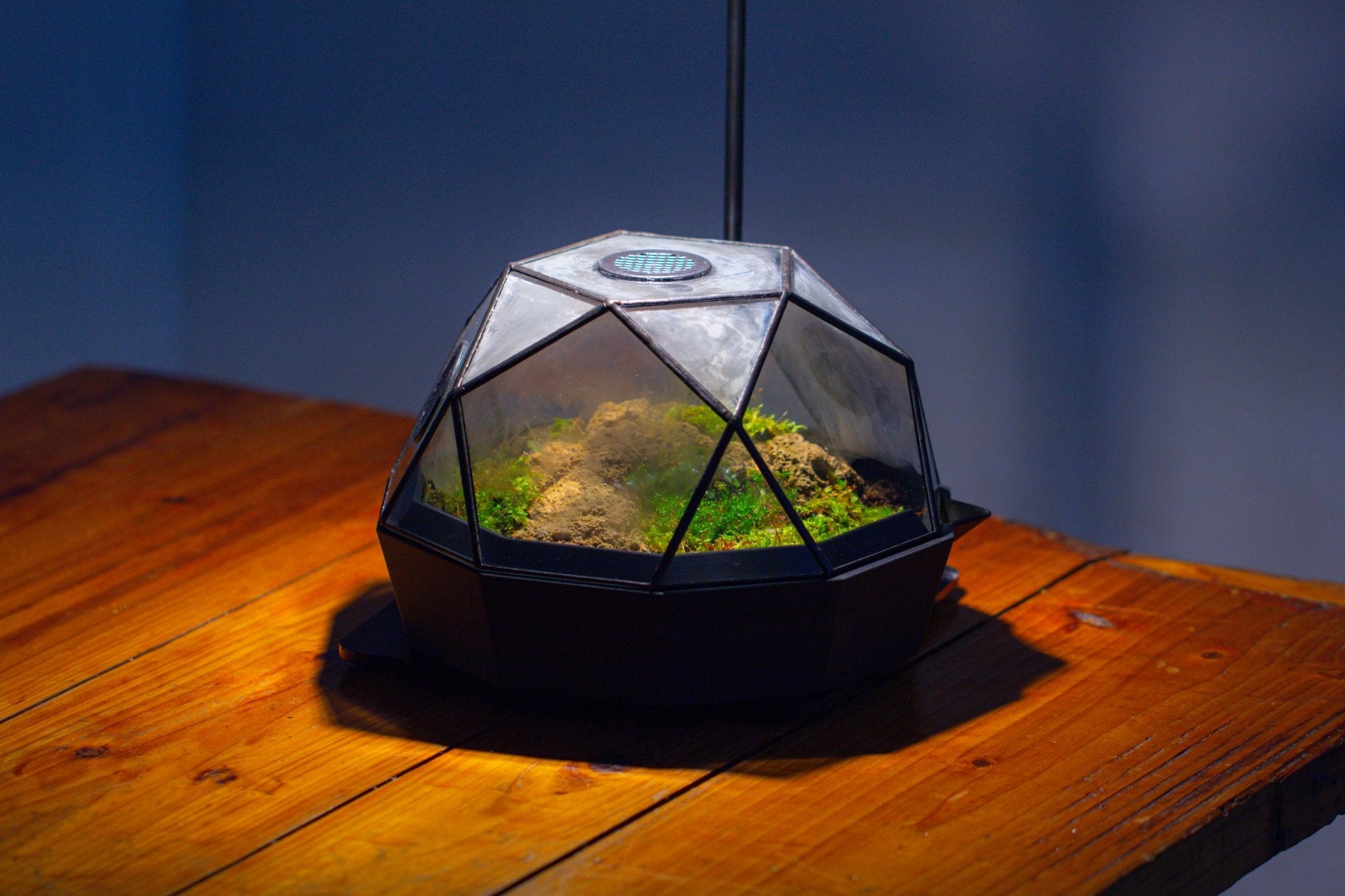 Dome Geometric Glass Terrarium, Vented, Two - part, for Moss Beginners PG08S2 - NCYPgarden
