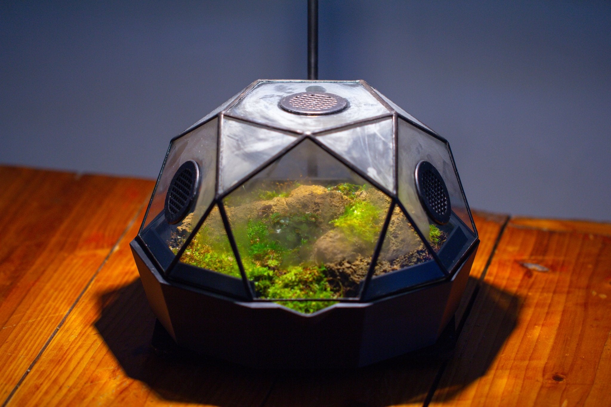 Dome Geometric Glass Terrarium, Vented, Two - part, for Moss Beginners PG08S2 - NCYPgarden