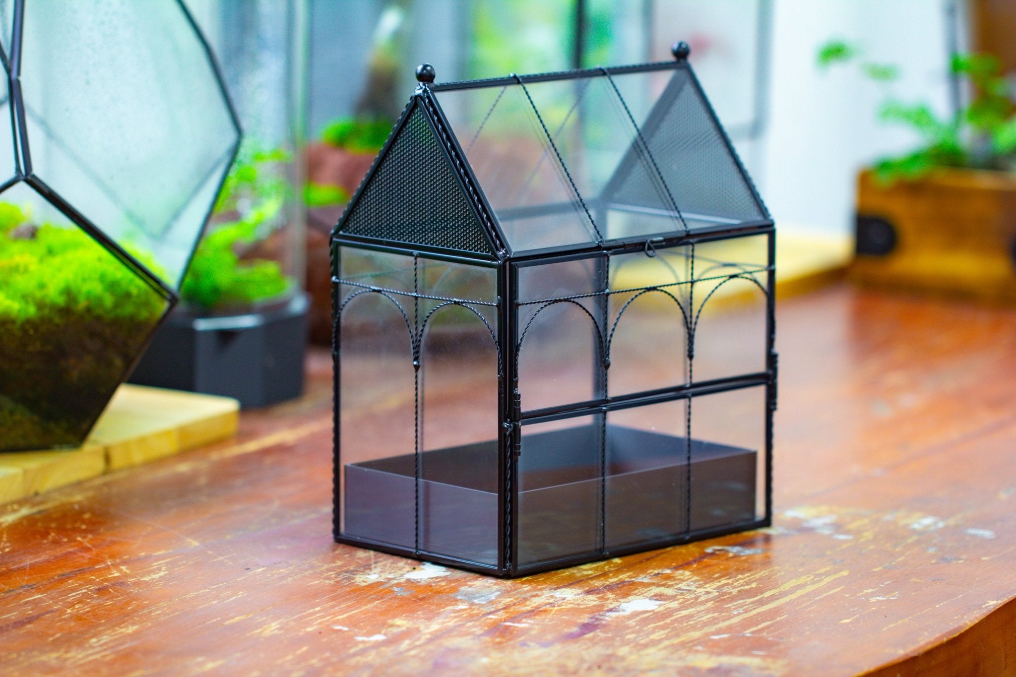 NCYP Vintage House Shape Glass Geometric Terrarium, with side door, with Mesh vent holes for  Insects Pet SH02E2 - NCYPgarden