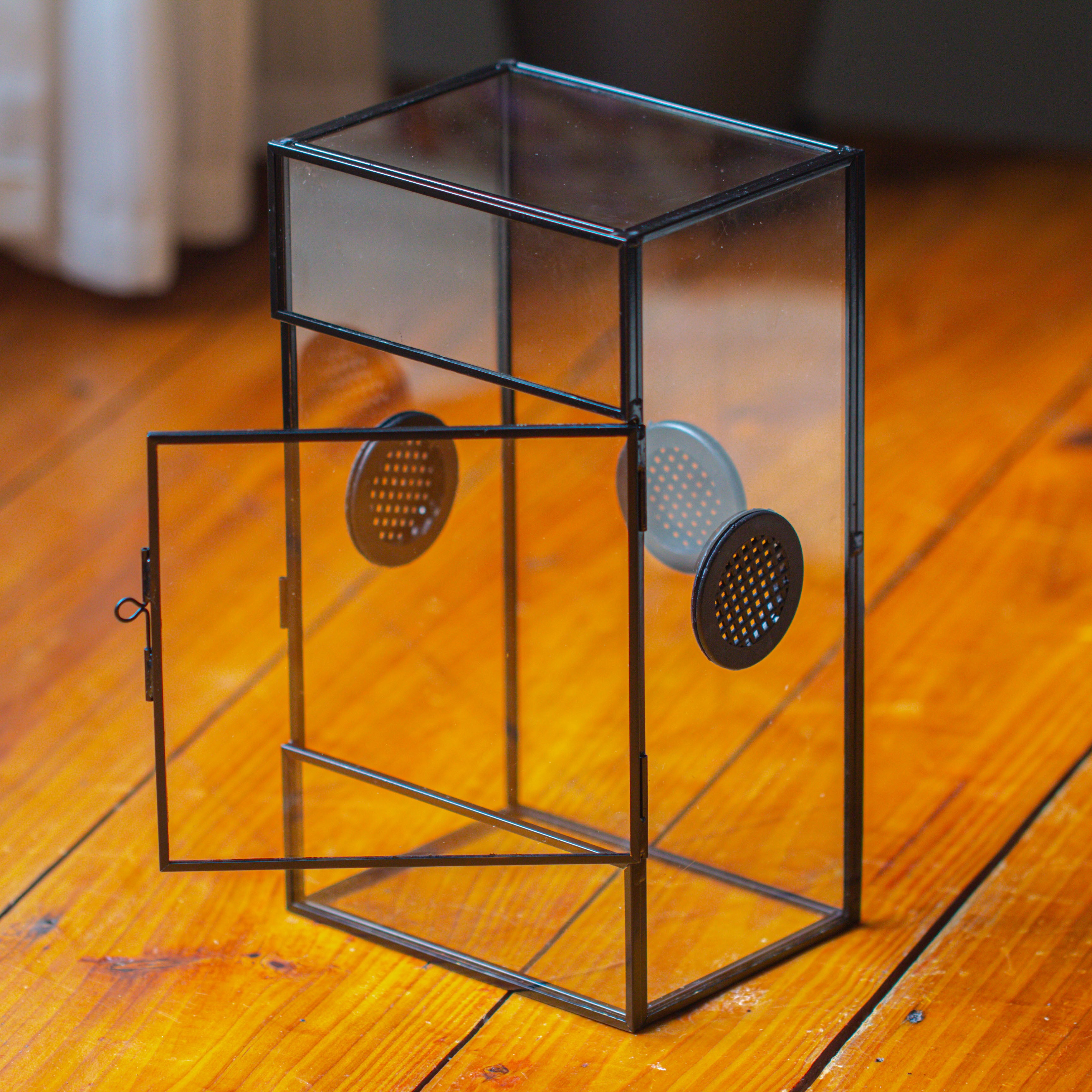 Glass Rectangle Terrarium Enclosure for Small Insect, Jumping Spider ...