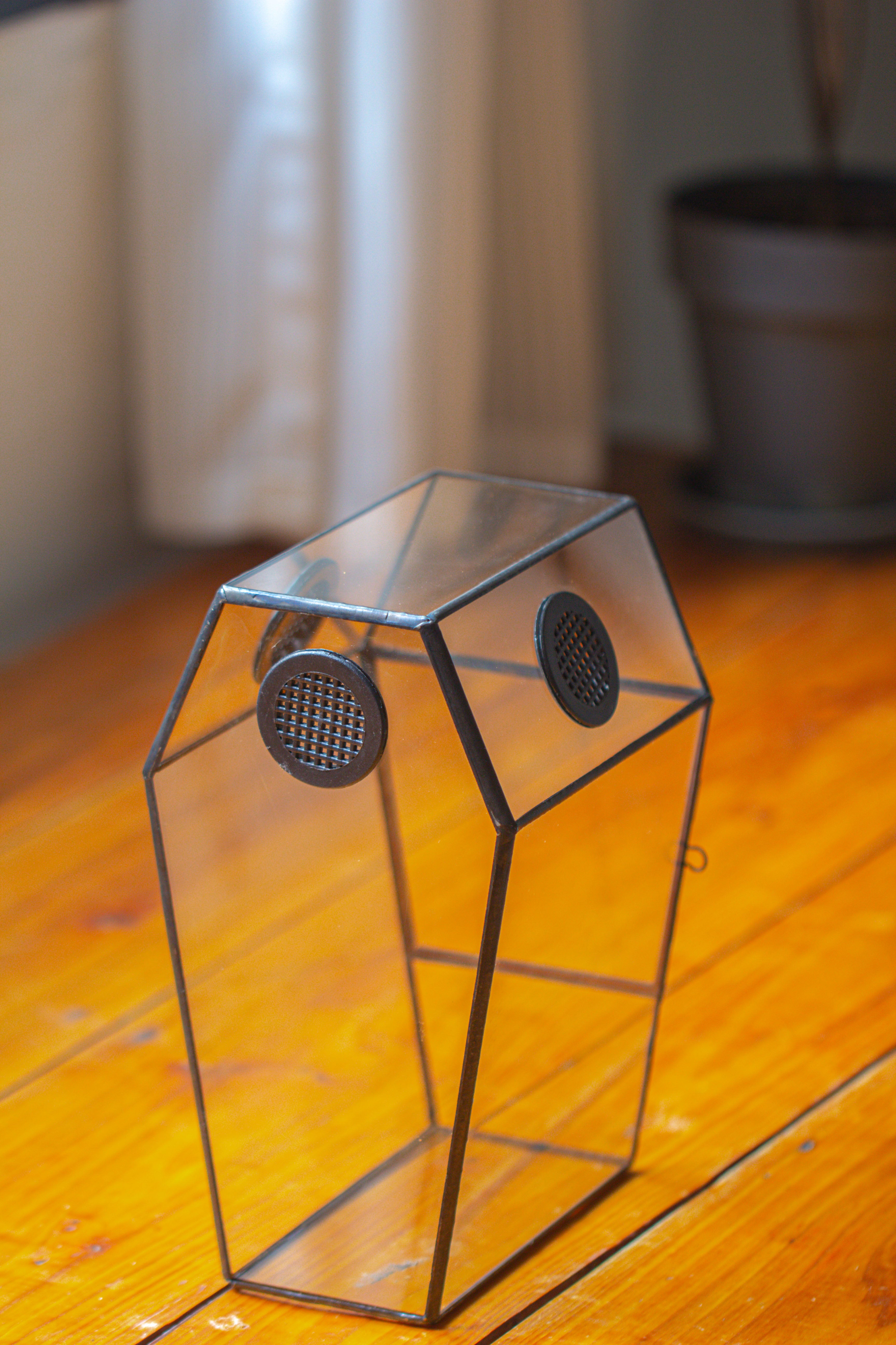 Coffin-Shaped Tin Glass Terrarium Enclosure, Gothic Style, for Jumping Spider, Insects, Snails - NCYPgarden