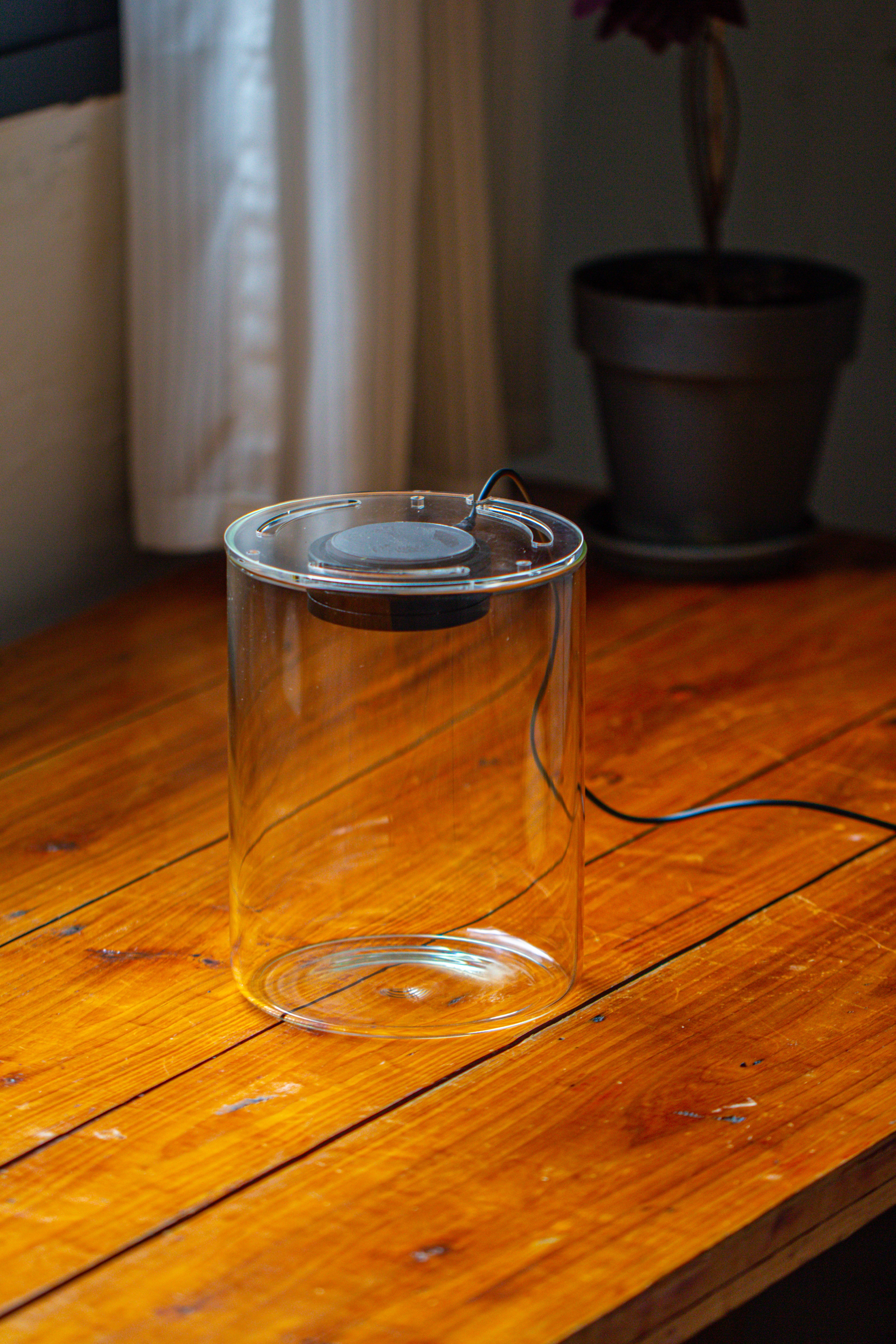 Small Cylinder Terrarium with LED Grow Lamp, Acrylic Lid Set for Bog, Carnivorous plants-15x20cm - NCYPgarden