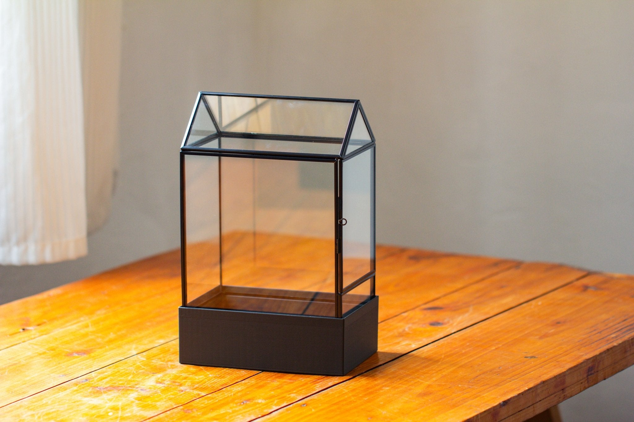 11“ Tall Glass Terrarium with Water - Holding Base and Side Door - NCYPgarden