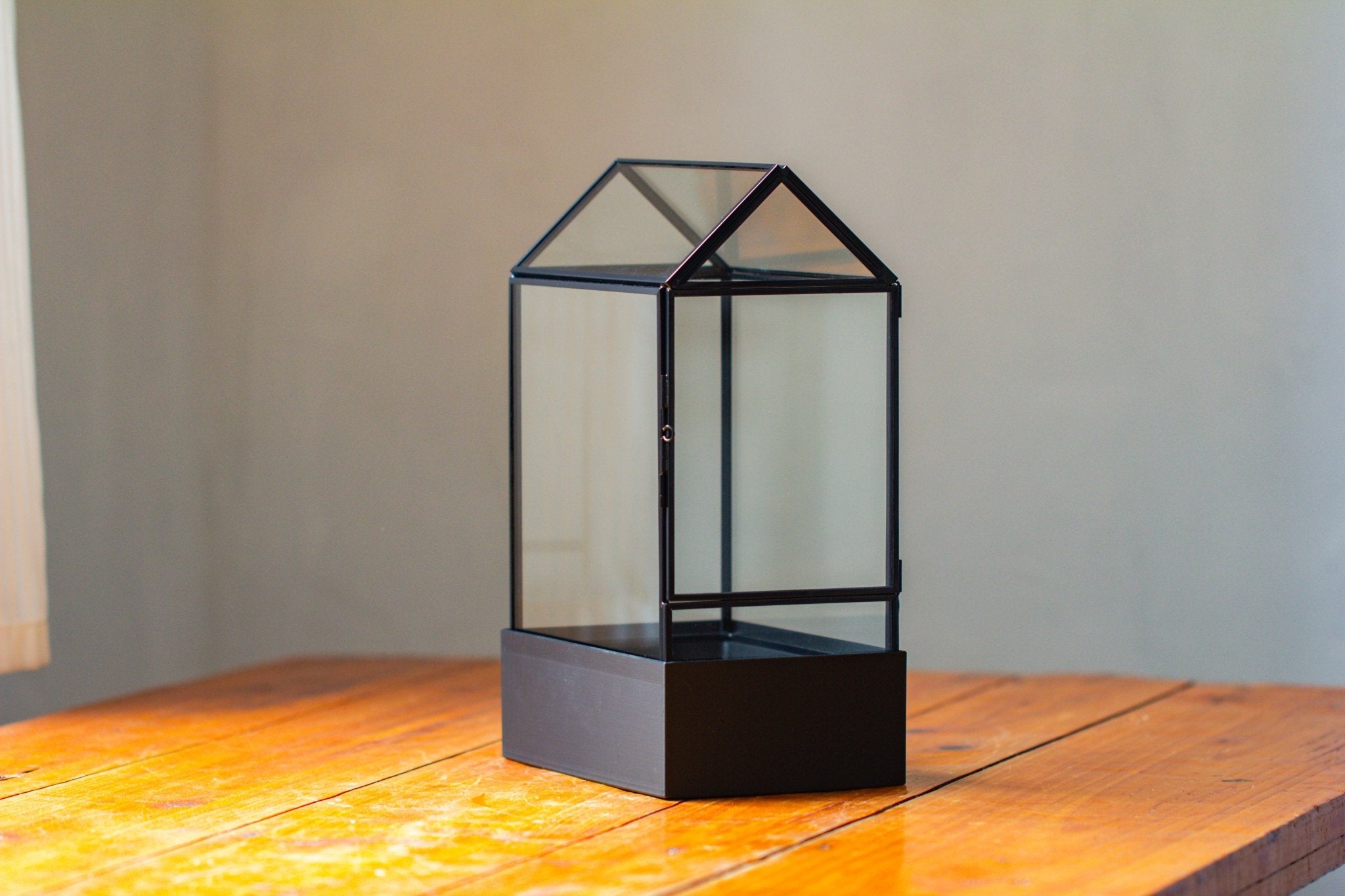 11“ Tall Glass Terrarium with Water - Holding Base and Side Door - NCYPgarden